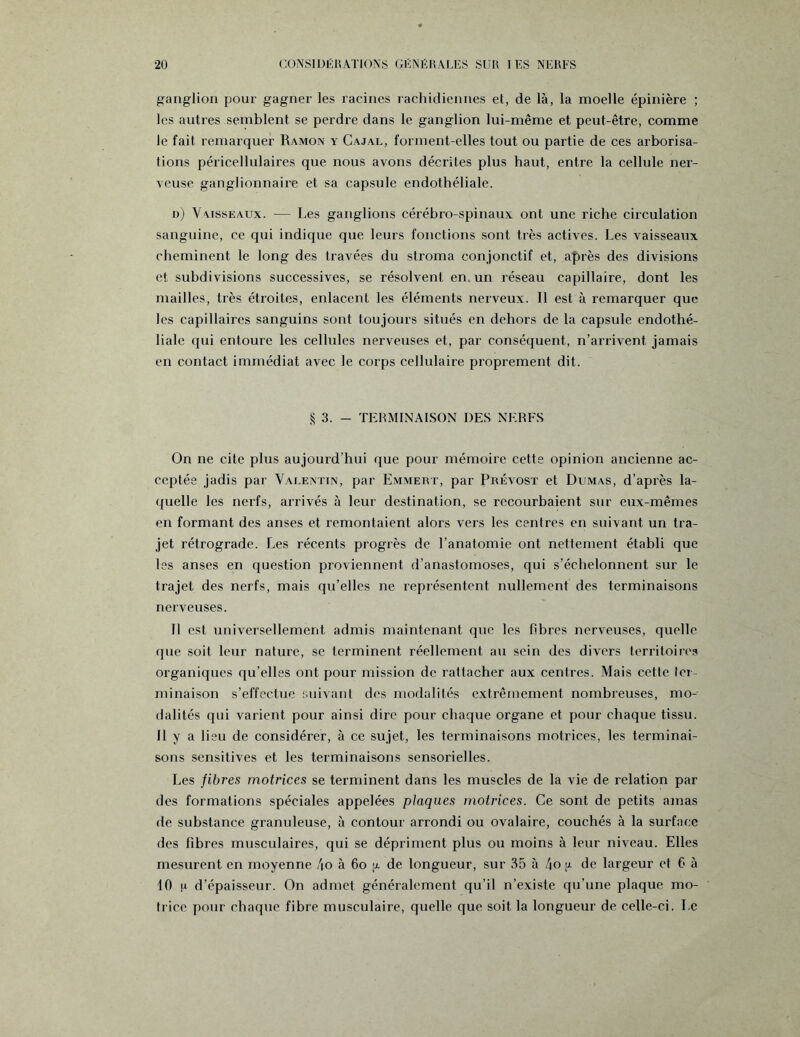 ganglion pour gagner les racines rachidiennes et, de là, la moelle épinière ; les autres semblent se perdre dans le ganglion lui-même et peut-être, comme le fait remarquer Ramon y Cajal, forment-elles tout ou partie de ces arborisa¬ tions péricellulaires que nous avons décrites plus haut, entre la cellule ner¬ veuse ganglionnaire et sa capsule endothéliale. d) Vaisseaux. — Les ganglions cérébro-spinaux ont une riche circulation sanguine, ce qui indique que leurs fonctions sont très actives. Les vaisseaux cheminent le long des travées du stroma conjonctif et, après des divisions et subdivisions successives, se résolvent en un réseau capillaire, dont les mailles, très étroites, enlacent les éléments nerveux. Il est à remarquer que les capillaires sanguins sont toujours situés en dehors de la capsule endothé¬ liale qui entoure les cellules nerveuses et, par conséquent, n’arrivent jamais en contact immédiat avec le corps cellulaire proprement dit. § 3. - TERMINAISON DES NERFS On ne cite plus aujourd’hui que pour mémoire cette opinion ancienne ac¬ ceptée jadis par Valentin, par Emmert, par Prévost et Dumas, d’après la¬ quelle les nerfs, arrivés à leur destination, se recourbaient sur eux-mêmes en formant des anses et remontaient alors vers les centres en suivant un tra¬ jet rétrograde. Les récents progrès de l’anatomie ont nettement établi que les anses en question proviennent d’anastomoses, qui s’échelonnent sur le trajet des nerfs, mais qu’elles ne représentent nullement des terminaisons nerveuses. Il est universellement admis maintenant que les fibres nerveuses, quelle que soit leur nature, se terminent réellement au sein des divers territoires organiques qu’elles ont pour mission de rattacher aux centres. Mais cette ter¬ minaison s’effectue suivant des modalités extrêmement nombreuses, mo¬ dalités qui varient pour ainsi dire pour chaque organe et pour chaque tissu. 11 y a 1 ieu de considérer, à ce sujet, les terminaisons motrices, les terminai¬ sons sensitives et les terminaisons sensorielles. Les fibres motrices se terminent dans les muscles de la vie de relation par des formations spéciales appelées plaques motrices. Ce sont de petits amas de substance granuleuse, à contour arrondi ou ovalaire, couchés à la surface des fibres musculaires, qui se dépriment plus ou moins à leur niveau. Elles mesurent en moyenne 4o à 6o y de longueur, sur 35 à 4o [r de largeur et 6 à 10 R d’épaisseur. On admet généralement qu’il n’existe qu’une plaque mo¬ trice pour chaque fibre musculaire, quelle que soit la longueur de celle-ci. Le