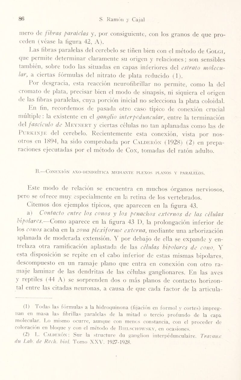 mero de fibras par alelas y, por consiguiente, con los granos de que pro¬ ceden (véase la figura 42, A). Las fibras paralelas del cerebelo se tiñen bien con el método de Golgi, que permite determinar claramente su origen y relaciones; son sensibles también, sobre todo las situadas en capas inferiores del estrato molecu¬ lar, a ciertas fórmulas del nitrato de plata reducido (1). Por desgracia, esta reacción neurofibrillar no permite, como la del cromato de plata, precisar bien el modo de sinapsis, ni siquiera el origen de las fibras paralelas, cuya porción inicial no selecciona la plata coloidal. Im fin, recordemos de pasada otro caso típico de conexión crucial múltiple : la existente en el ganglio ínterpeduncular, entre la terminación del fascículo de Meynert y ciertas células no tan aplanadas como las de Purkinje del cerebelo. Recientemente esta conexión, vista por nos¬ otros en 1894, ha sido comprobada por Calderón (1928) (2) en prepa¬ raciones ejecutadas por el método de Cox, tomadas del ratón adulto. B.—Conexión axo-dendrítica mediante plexos planos y paralelos. Este modo de relación se encuentra en muchos órganos nerviosos,, pero se ofrece muy especialmente en la retina de los vertebrados. Citemos dos ejemplos típicos, que aparecen en la figura 43. a) Contacto entre los conos y los penachos externos de las células bipolares.- Como aparece en la figura 43 D, la prolongación inferior de los conos acaba en la zona plcxiforme externa, mediante una arborización aplanada de moderada extensión. Y por debajo de ella se expande y en¬ trelaza otra ramificación aplastada de las células bipolares de cono. Y esta disposición se repite en el cabo inferior de estas mismas bipolares, descompuesto en un ramaje plano que entra en conexión con otro ra¬ maje laminar de las dendritas de las células ganglionares. En las aves y reptiles (44 A) se sorprenden dos o más planos de contacto horizon¬ tal entre las citadas neuronas, a causa de que cada factor de la articúla¬ te Bodas las fórmulas a la hidroquinona (fijación en forniol y cortes) impreg¬ nan en masa las fibrillas paralelas de la mitad o tercio profundo de la capa molecular. Lo mismo ocurre, aunque con menos constancia, con el proceder de coloración en bloque y con el método de Bielschowsky, en ocasiones. (2) L. Calderón: Sur la structure du ganglion interpédunculaire. Travaux du Lab. de Redi. biol. Tomo XXV. 1927-1928.