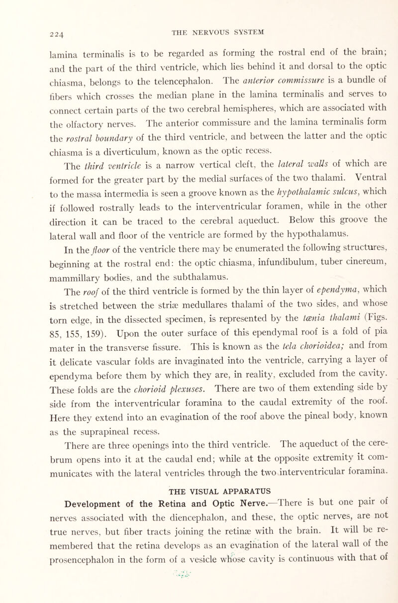 lamina terminalis is to be regarded as forming the rostral end of the brain; and the part of the third ventricle, which lies behind it and dorsal to the optic chiasma, belongs to the telencephalon. The anterior commissure is a bundle of fibers which crosses the median plane in the lamina terminalis and serves to connect certain parts of the two cerebral hemispheres, which are associated with the olfactory nerves. The anterior commissure and the lamina terminalis form the rostral boundary of the third ventricle, and between the latter and the optic chiasma is a diverticulum, known as the optic recess. The third ventricle is a narrow vertical cleft, the lateral walls of which are formed for the greater part by the medial surfaces of the two thalami. Ventral to the massa intermedia is seen a groove known as the hypothalamic sulcus, which if followed rostrally leads to the interventricular foramen, while in the other direction it can be traced to the cerebral aqueduct. Below this groove the lateral wall and floor of the ventricle are formed by the hypothalamus. In thq floor of the ventricle there may be enumerated the following structures, beginning at the rostral end: the optic chiasma, infundibulum, tuber cinereum, mammillary bodies, and the sub thalamus. The roof of the third ventricle is formed by the thin layer of ependyma, which is stretched between the striae medullares thalami of the two sides, and whose torn edge, in the dissected specimen, is represented by the tcenia thalami (Figs. 85, 155, 159). Upon the outer surface of this ependymal roof is a fold of pia mater in the transverse fissure. This is known as the tela chorioidea; and from it delicate vascular folds are invaginated into the ventricle, carrying a layer of ependyma before them by which they are, in reality, excluded from the cavity. These folds are the chorioid plexuses. There are two of them extending side by side from the interventricular foramina to the caudal extremity of the roof. Here they extend into an evagination of the roof above the pineal body, known as the suprapineal recess. There are three openings into the third ventricle. The aqueduct of the cere¬ brum opens into it at the caudal end; while at the opposite extremity it com¬ municates with the lateral ventricles through the two interventricular foramina. THE VISUAL APPARATUS Development of the Retina and Optic Nerve.—There is but one pair of nerves associated with the diencephalon, and these, the optic nerves, are not true nerves, but fiber tracts joining the retinae with the brain. It will be re¬ membered that the retina develops as an evagination of the lateral wall of the prosencephalon in the form of a vesicle whose cavity is continuous with that of