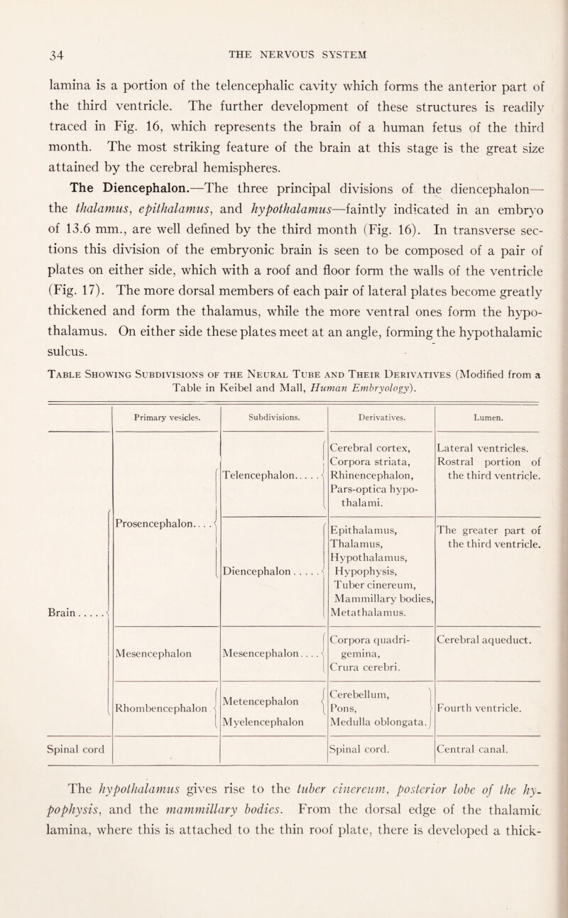 lamina is a portion of the telencephalic cavity which forms the anterior part of the third ventricle. The further development of these structures is readily traced in Fig. 16, which represents the brain of a human fetus of the third month. The most striking feature of the brain at this stage is the great size attained by the cerebral hemispheres. The Diencephalon.—The three principal divisions of the diencephalon— the thalamus, epithalamus, and hypothalamus—faintly indicated in an embryo of 13.6 mm., are well defined by the third month (Fig. 16). In transverse sec¬ tions this division of the embryonic brain is seen to be composed of a pair of plates on either side, which with a roof and floor form the walls of the ventricle (Fig. 17). The more dorsal members of each pair of lateral plates become greatly thickened and form the thalamus, while the more ventral ones form the hypo¬ thalamus. On either side these plates meet at an angle, forming the hypothalamic sulcus. Table Showing Subdivisions of the Neural Tube and Their Derivatives (Modified from a Table in Keibel and Mall, Human Embryology). Primary vesicles. Subdivisions. Derivatives. Lumen. / j / ! Telencephalon. Cerebral cortex, Corpora striata, Rhinencephalon, Pars-optica hypo¬ thalami. Lateral ventricles. Rostral portion of the third ventricle. Brain.< Prosencephalon... . < V Diencephalon. Epithalamus, Thalamus, Hypothalamus, Hypophysis, Tuber cinereum, Mammillary bodies, Metathalamus. The greater part of the third ventricle. Mesencephalon ( Mesencephalon. . .. < Corpora quadri- gemina, Crura cerebri. Cerebral aqueduct. \ / Rhombencephalon j Metencephalon j Myelencephalon Cerebellum, Pons, Medulla oblongata.] Fourth ventricle. Spinal cord Spinal cord. Central canal. The hypothalamus gives rise to the tuber cinereum, posterior lobe of the hy¬ pophysis, and the mammillary bodies. From the dorsal edge of the thalamic lamina, where this is attached to the thin roof plate, there is developed a thick-