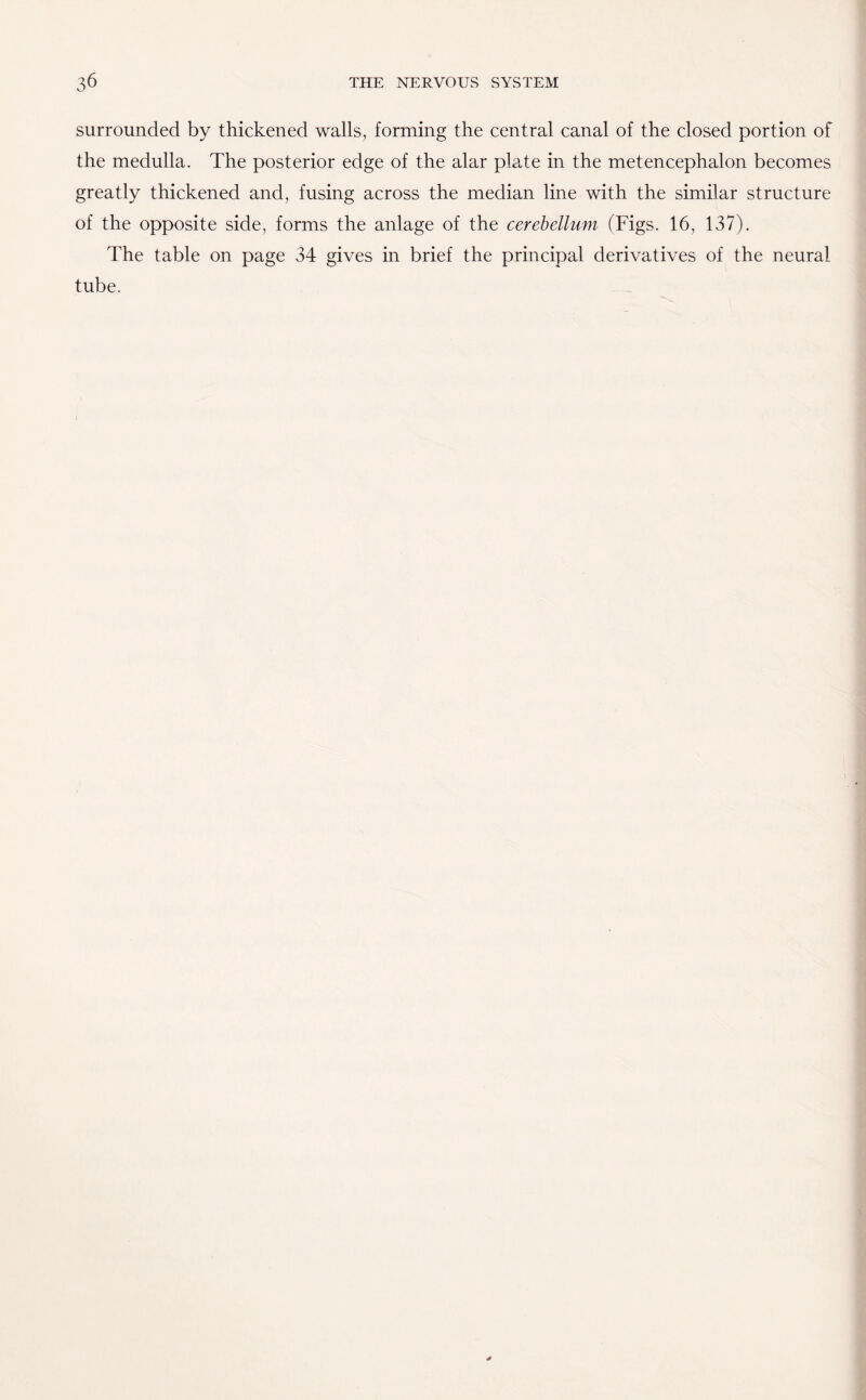 surrounded by thickened walls, forming the central canal of the closed portion of the medulla. The posterior edge of the alar plate in the metencephalon becomes greatly thickened and, fusing across the median line with the similar structure of the opposite side, forms the anlage of the cerebellum (Figs. 16, 137). The table on page 34 gives in brief the principal derivatives of the neural tube.