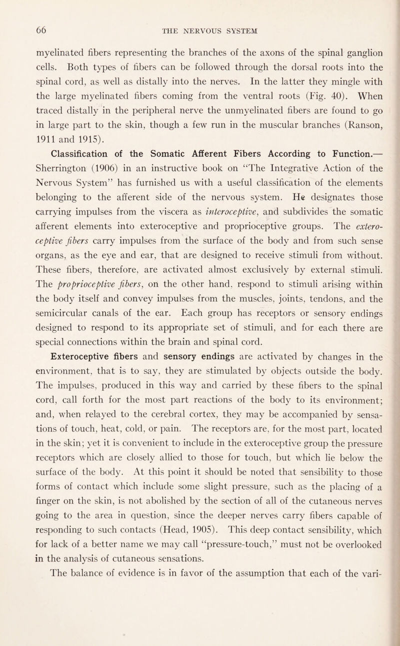 myelinated fibers representing the branches of the axons of the spinal ganglion cells. Both types of fibers can be followed through the dorsal roots into the spinal cord, as well as distally into the nerves. In the latter they mingle with the large myelinated fibers coming from the ventral roots (Fig. 40). When traced distally in the peripheral nerve the unmyelinated fibers are found to go in large part to the skin, though a few run in the muscular branches (Ranson, 1911 and 1915). Classification of the Somatic Afferent Fibers According to Function.— Sherrington (1906) in an instructive book on “The Integrative Action of the Nervous System” has furnished us with a useful classification of the elements belonging to the afferent side of the nervous system. He designates those carrying impulses from the viscera as interoceptive, and subdivides the somatic afferent elements into exteroceptive and proprioceptive groups. The extero¬ ceptive fibers carry impulses from the surface of the body and from such sense organs, as the eye and ear, that are designed to receive stimuli from without. These fibers, therefore, are activated almost exclusively by external stimuli. The proprioceptive fibers, on the other hand, respond to stimuli arising within the body itself and convey impulses from the muscles, joints, tendons, and the semicircular canals of the ear. Each group has receptors or sensory endings designed to respond to its appropriate set of stimuli, and for each there are special connections within the brain and spinal cord. Exteroceptive fibers and sensory endings are activated by changes in the environment, that is to say, they are stimulated by objects outside the body. The impulses, produced in this way and carried by these fibers to the spinal cord, call forth for the most part reactions of the body to its environment; and, when relayed to the cerebral cortex, they may be accompanied by sensa¬ tions of touch, heat, cold, or pain. The receptors are, for the most part, located in the skin; yet it is convenient to include in the exteroceptive group the pressure receptors which are closely allied to those for touch, but which lie below the surface of the body. At this point it should be noted that sensibility to those forms of contact which include some slight pressure, such as the placing of a finger on the skin, is not abolished by the section of all of the cutaneous nerves going to the area in question, since the deeper nerves carry fibers capable of responding to such contacts (Head, 1905). This deep contact sensibility, which for lack of a better name we may call “pressure-touch,” must not be overlooked in the analysis of cutaneous sensations. The balance of evidence is in favor of the assumption that each of the vari-