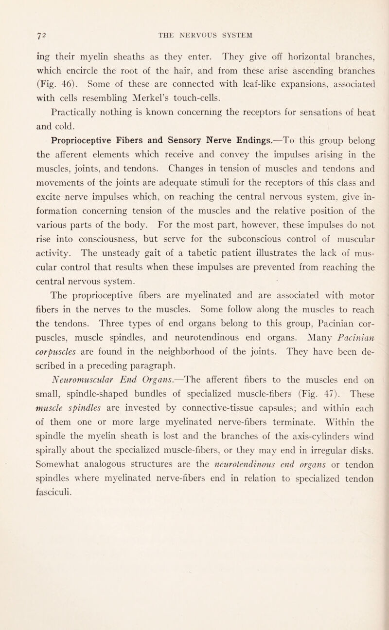 ing their myelin sheaths as they enter. They give off horizontal branches, which encircle the root of the hair, and from these arise ascending branches (Fig. 46). Some of these are connected with leaf-like expansions, associated with cells resembling Merkel’s touch-cells. Practically nothing is known concerning the receptors for sensations of heat and cold. Proprioceptive Fibers and Sensory Nerve Endings.—To this group belong the afferent elements which receive and convey the impulses arising in the muscles, joints, and tendons. Changes in tension of muscles and tendons and movements of the joints are adequate stimuli for the receptors of this class and excite nerve impulses which, on reaching the central nervous system, give in¬ formation concerning tension of the muscles and the relative position of the various parts of the body. For the most part, however, these impulses do not rise into consciousness, but serve for the subconscious control of muscular activity. The unsteady gait of a tabetic patient illustrates the lack of mus¬ cular control that results when these impulses are prevented from reaching the central nervous system. The proprioceptive fibers are myelinated and are associated with motor fibers in the nerves to the muscles. Some follow along the muscles to reach the tendons. Three types of end organs belong to this group, Pacinian cor¬ puscles, muscle spindles, and neurotendinous end organs. Many Pacinian corpuscles are found in the neighborhood of the joints. They have been de¬ scribed in a preceding paragraph. Neuromuscular End Organs.—The afferent fibers to the muscles end on small, spindle-shaped bundles of specialized muscle-fibers (Fig. 47). These muscle spindles are invested by connective-tissue capsules; and within each of them one or more large myelinated nerve-fibers terminate. Within the spindle the myelin sheath is lost and the branches of the axis-cylinders wind spirally about the specialized muscle-fibers, or they may end in irregular disks. Somewhat analogous structures are the neurotendinous end organs or tendon spindles where myelinated nerve-fibers end in relation to specialized tendon fasciculi.