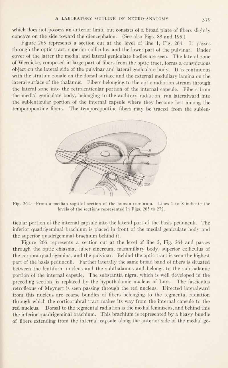 which does not possess an anterior limb, but consists of a broad plate of fibers slightly concave on the side toward the diencephalon. (See also Figs. 88 and 195.) Figure 265 represents a section cut at the level of line 1, Fig. 264. It passes through the optic tract, superior colliculus, and the lower part of the pulvinar. Under cover of the latter the medial and lateral geniculate bodies are seen. The lateral zone of Wernicke, composed in large part of fibers from the optic tract, forms a conspicuous object on the lateral side of the pulvinar and lateral geniculate body. It is continuous with the stratum zonale on the dorsal surface and the external medullary lamina on the lateral surface of the thalamus. Fibers belonging to the optic radiation stream through the lateral zone into the retrolenticular portion of the internal capsule. Fibers from the medial geniculate body, belonging to the auditory radiation, run lateralward into the sublenticular portion of the internal capsule where they become lost among the temporopontine fibers. The temporopontine fibers may be traced from the sublen- Fig. 264.—From a median sagittal section of the human cerebrum. Lines 1 to 8 indicate the levels of the sections represented in Figs. 265 to 272. ticular portion of the internal capsule into the lateral part of the basis pedunculi. The inferior quadrigeminal brachium is placed in front of the medial geniculate body and the superior quadrigeminal brachium behind it. Figure 266 represents a section cut at the level of line 2, Fig. 264 and passes through the optic chiasma, tuber cinereum, mammillary body, superior colliculus of the corpora quadrigemina, and the pulvinar. Behind the optic tract is seen the highest part of the basis pedunculi. Farther laterally the same broad band of fibers is situated between the lentiform nucleus and the subthalamus and belongs to the subthalamic portion of the internal capsule. The substantia nigra, which is well developed in the preceding section, is replaced by the hypothalamic nucleus of Luys. The fasciculus retroflexus of Meynert is seen passing through the red nucleus. Directed lateralward from this nucleus are coarse bundles of fibers belonging to the tegmental radiation through which the corticorubral tract makes its way from the internal capsule to the red nucleus. Dorsal to the tegmental radiation is the medial lemniscus, and behind this the inferior quadrigeminal brachium. This brachium is represented by a heavy bundle of fibers extending from the internal capsule along the anterior side of the medial ge-