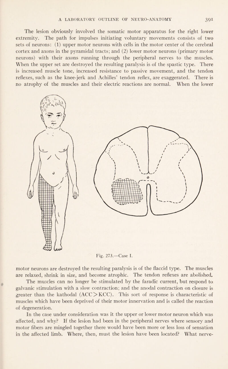The lesion obviously involved the somatic motor apparatus for the right lower extremity. The path for impulses initiating voluntary movements consists of two sets of neurons: (1) upper motor neurons with cells in the motor center of the cerebral cortex and axons in the pyramidal tracts; and (2) lower motor neurons (primary motor neurons) with their axons running through the peripheral nerves to the muscles. When the upper set are destroyed the resulting paralysis is of the spastic type. There is increased muscle tone, increased resistance to passive movement, and the tendon reflexes, such as the knee-jerk and Achilles’ tendon reflex, are exaggerated. There is no atrophy of the muscles and their electric reactions are normal. When the lower Fig. 273.—Case I. motor neurons are destroyed the resulting paralysis is of the flaccid type. The muscles are relaxed, shrink in size, and become atrophic. The tendon reflexes are abolished The muscles can no longer be stimulated by the faradic current, but respond to galvanic stimulation with a slow contraction; and the anodal contraction on closure is greater than the kathodal (ACOKCC). This sort of response is characteristic of muscles which have been deprived of their motor innervation and is called the reaction of degeneration. In the case under consideration was it the upper or lower motor neuron which was affected, and why? If the lesion had been in the peripheral nerves where sensory and motor fibers are mingled together there would have been more or less loss of sensation in the affected limb. Where, then, must the lesion have been located? What nerve-