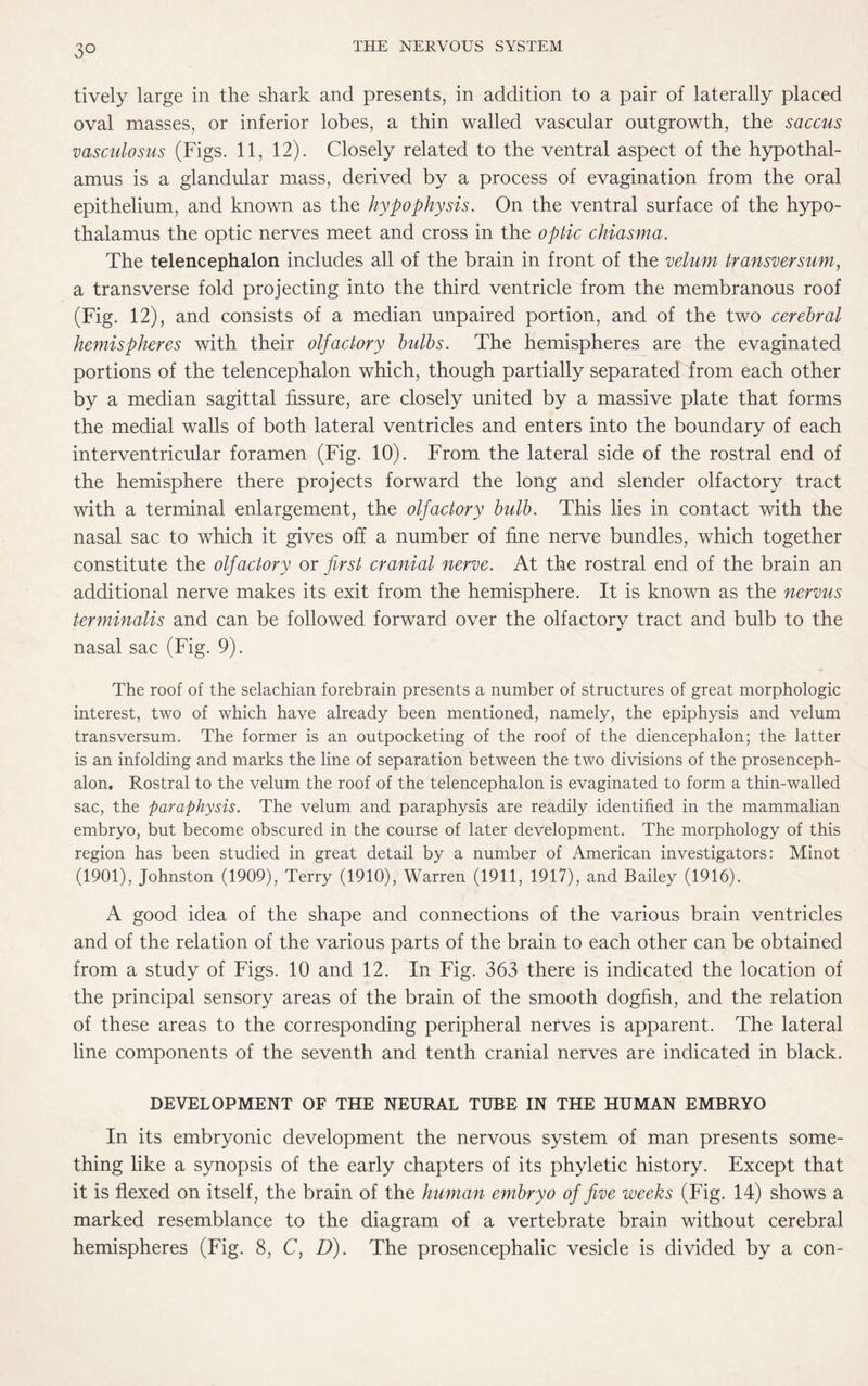 3° tively large in the shark and presents, in addition to a pair of laterally placed oval masses, or inferior lobes, a thin walled vascular outgrowth, the saccus vasculosus (Figs. 11, 12). Closely related to the ventral aspect of the hypothal¬ amus is a glandular mass, derived by a process of evagination from the oral epithelium, and known as the hypophysis. On the ventral surface of the hypo¬ thalamus the optic nerves meet and cross in the optic chiasma. The telencephalon includes all of the brain in front of the velum transversum, a transverse fold projecting into the third ventricle from the membranous roof (Fig. 12), and consists of a median unpaired portion, and of the two cerebral hemispheres with their olfactory bulbs. The hemispheres are the evaginated portions of the telencephalon which, though partially separated from each other by a median sagittal fissure, are closely united by a massive plate that forms the medial walls of both lateral ventricles and enters into the boundary of each interventricular foramen (Fig. 10). From the lateral side of the rostral end of the hemisphere there projects forward the long and slender olfactory tract with a terminal enlargement, the olfactory bulb. This lies in contact with the nasal sac to which it gives off a number of fine nerve bundles, which together constitute the olfactory or first cranial nerve. At the rostral end of the brain an additional nerve makes its exit from the hemisphere. It is known as the nervus terminalis and can be followed forward over the olfactory tract and bulb to the nasal sac (Fig. 9). The roof of the selachian forebrain presents a number of structures of great morphologic interest, two of which have already been mentioned, namely, the epiphysis and velum transversum. The former is an outpocketing of the roof of the diencephalon; the latter is an infolding and marks the line of separation between the two divisions of the prosenceph¬ alon. Rostral to the velum the roof of the telencephalon is evaginated to form a thin-walled sac, the paraphysis. The velum and paraphysis are readily identified in the mammalian embryo, but become obscured in the course of later development. The morphology of this region has been studied in great detail by a number of American investigators: Minot (1901), Johnston (1909), Terry (1910), Warren (1911, 1917), and Bailey (1916). A good idea of the shape and connections of the various brain ventricles and of the relation of the various parts of the brain to each other can be obtained from a study of Figs. 10 and 12. In Fig. 363 there is indicated the location of the principal sensory areas of the brain of the smooth dogfish, and the relation of these areas to the corresponding peripheral nerves is apparent. The lateral line components of the seventh and tenth cranial nerves are indicated in black. DEVELOPMENT OF THE NEURAL TUBE IN THE HUMAN EMBRYO In its embryonic development the nervous system of man presents some¬ thing like a synopsis of the early chapters of its phyletic history. Except that it is flexed on itself, the brain of the human embryo of five weeks (Fig. 14) shows a marked resemblance to the diagram of a vertebrate brain without cerebral