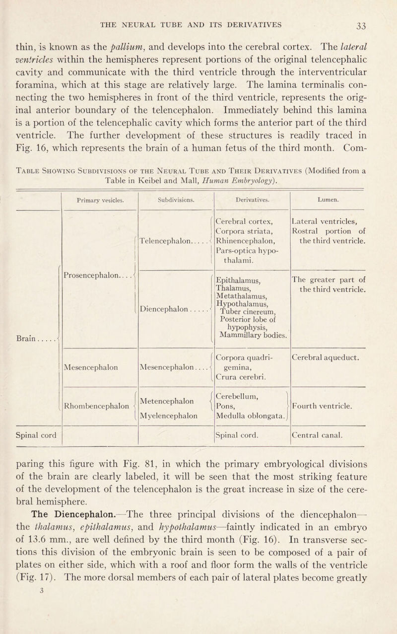 thin, is known as the pallium, and develops into the cerebral cortex. The lateral ventricles within the hemispheres represent portions of the original telencephalic cavity and communicate with the third ventricle through the interventricular foramina, which at this stage are relatively large. The lamina terminalis con¬ necting the two hemispheres in front of the third ventricle, represents the orig¬ inal anterior boundary of the telencephalon. Immediately behind this lamina is a portion of the telencephalic cavity which forms the anterior part of the third ventricle. The further development of these structures is readily traced in Fig. 16, which represents the brain of a human fetus of the third month. Com- Table Showing Subdivisions of the Neural Tube and Their Derivatives (Modified from a Table in Keibel and Mall, Human Embryology). Primary vesicles. Subdivisions. Derivatives. Lumen. f 1 | 1 f i 1 Telencephalon.■! Cerebral cortex, Corpora striata, Rhinencephalon, Pars-optica hypo¬ thalami. Lateral ventricles, Rostral portion of the third ventricle. Brain.< Prosencephalon... . < / Diencephalon.< \ Epithalamus, Thalamus, Meta thalamus, Hypothalamus, Tuber cinereum, Posterior lobe of hypophysis, Mammillary bodies. The greater part of the third ventricle. Mesencephalon f Mesencephalon.... < \ Corpora quadri- gemina, Crura cerebri. Cerebral aqueduct. Rhombencephalon < Metencephalon j Myelencephalon Cerebellum, Pons, \ Medulla oblongata, j Fourth ventricle. Spinal cord Spinal cord. Central canal. paring this figure with Fig. 81, in which the primary embryological divisions of the brain are clearly labeled, it will be seen that the most striking feature of the development of the telencephalon is the great increase in size of the cere¬ bral hemisphere. The Diencephalon.—The three principal divisions of the diencephalon— the thalamus, epithalamus, and hypothalamus—faintly indicated in an embryo of 13.6 mm., are well defined by the third month (Fig. 16). In transverse sec¬ tions this division of the embryonic brain is seen to be composed of a pair of plates on either side, which with a roof and floor form the walls of the ventricle (Fig. 17). The more dorsal members of each pair of lateral plates become greatly 3