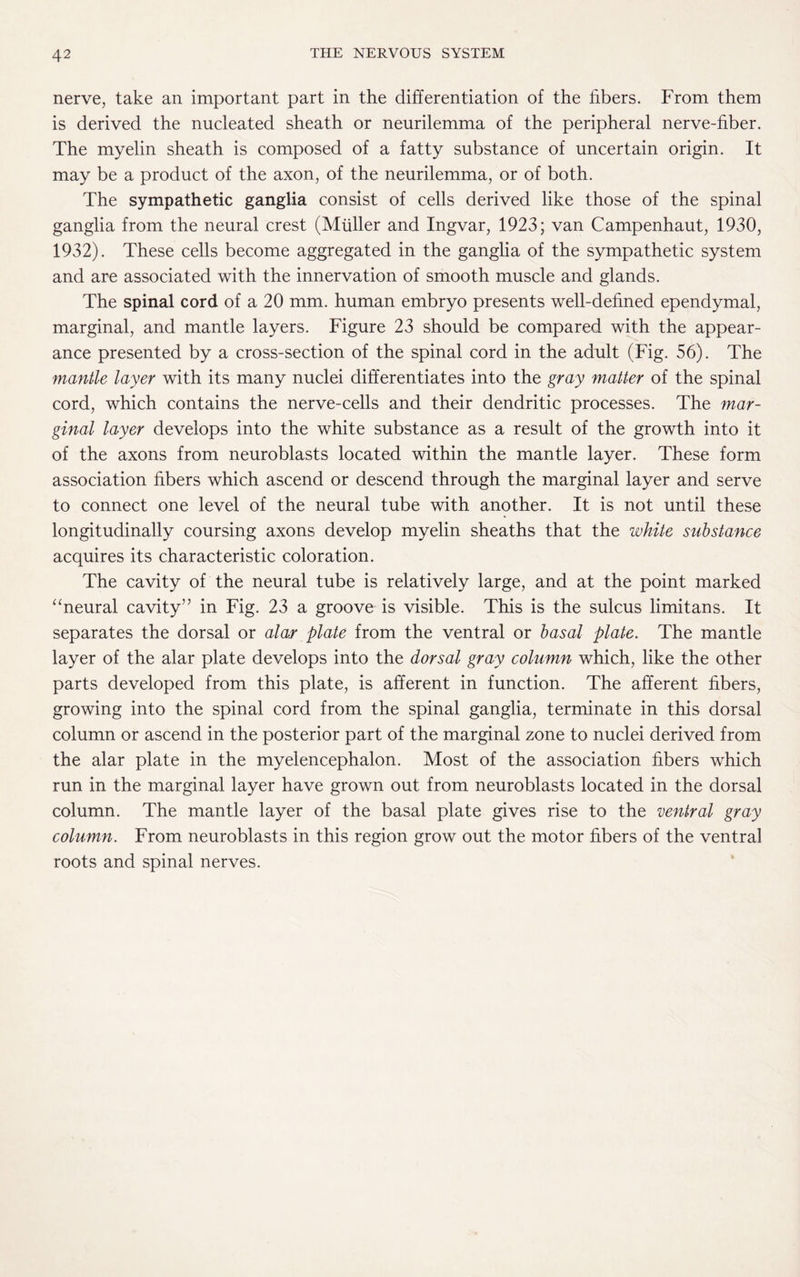 nerve, take an important part in the differentiation of the fibers. From them is derived the nucleated sheath or neurilemma of the peripheral nerve-fiber. The myelin sheath is composed of a fatty substance of uncertain origin. It may be a product of the axon, of the neurilemma, or of both. The sympathetic ganglia consist of cells derived like those of the spinal ganglia from the neural crest (Muller and Ingvar, 1923; van Campenhaut, 1930, 1932). These cells become aggregated in the ganglia of the sympathetic system and are associated with the innervation of smooth muscle and glands. The spinal cord of a 20 mm. human embryo presents well-defined ependymal, marginal, and mantle layers. Figure 23 should be compared with the appear¬ ance presented by a cross-section of the spinal cord in the adult (Fig. 56). The mantle layer with its many nuclei differentiates into the gray matter of the spinal cord, which contains the nerve-cells and their dendritic processes. The mar¬ ginal layer develops into the white substance as a result of the growth into it of the axons from neuroblasts located within the mantle layer. These form association fibers which ascend or descend through the marginal layer and serve to connect one level of the neural tube with another. It is not until these longitudinally coursing axons develop myelin sheaths that the white substance acquires its characteristic coloration. The cavity of the neural tube is relatively large, and at the point marked “neural cavity” in Fig. 23 a groove is visible. This is the sulcus limitans. It separates the dorsal or alar plate from the ventral or basal plate. The mantle layer of the alar plate develops into the dorsal gray column which, like the other parts developed from this plate, is afferent in function. The afferent fibers, growing into the spinal cord from the spinal ganglia, terminate in this dorsal column or ascend in the posterior part of the marginal zone to nuclei derived from the alar plate in the myelencephalon. Most of the association fibers which run in the marginal layer have grown out from neuroblasts located in the dorsal column. The mantle layer of the basal plate gives rise to the ventral gray column. From neuroblasts in this region grow out the motor fibers of the ventral roots and spinal nerves.