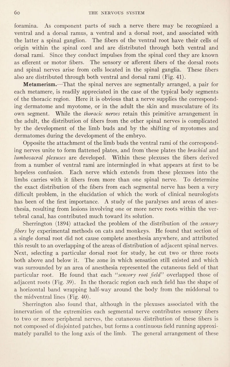 foramina. As component parts of such a nerve there may be recognized a ventral and a dorsal ramus, a ventral and a dorsal root, and associated with the latter a spinal ganglion. The fibers of the ventral root have their cells of origin within the spinal cord and are distributed through both ventral and dorsal rami. Since they conduct impulses from, the spinal cord they are known as efferent or motor fibers. The sensory or afferent fibers of the dorsal roots and spinal nerves arise from cells located in the spinal ganglia. These fibers also are distributed through both ventral and dorsal rami (Fig. 41). Metamerism.—That the spinal nerves are segmentally arranged, a pair for each metamere, is readily appreciated in the case of the typical body segments of the thoracic region. Here it is obvious that a nerve supplies the correspond¬ ing dermatome and myotome, or in the adult the skin and musculature of its own segment. While the thoracic nerves retain this primitive arrangement in the adult, the distribution of fibers from the other spinal nerves is complicated by the development of the limb buds and by the shifting of myotomes and dermatomes during the development of the embryo. Opposite the attachment of the limb buds the ventral rami of the correspond¬ ing nerves unite to form flattened plates, and from these plates the brachial and lumbosacral plexuses are developed. Within these plexuses the fibers derived from a number of ventral rami are intermingled in what appears at first to be hopeless confusion. Each nerve which extends from these plexuses into the limbs carries with it fibers from more than one spinal nerve. To determine the exact distribution of the fibers from each segmental nerve has been a very difficult problem, in the elucidation of which the work of clinical neurologists has been of the first importance. A study of the paralyses and areas of anes¬ thesia, resulting from lesions involving one or more nerve roots within the ver¬ tebral canal, has contributed much toward its solution. Sherrington (1894) attacked the problem of the distribution of the sensory fibers by experimental methods on cats and monkeys. He found that section of a single dorsal root did not cause complete anesthesia anywhere, and attributed this result to an overlapping of the areas of distribution of adjacent spinal nerves. Next, selecting a particular dorsal root for study, he cut two or three roots both above and below it. The zone in which sensation still existed and which was surrounded by an area of anesthesia represented the cutaneous field of that particular root. He found that each “ sensory root field” overlapped those of adjacent roots (Fig. 39). In the thoracic region each such field has the shape of a horizontal band wrapping half-way around the body from the middorsal to the midventral lines (Fig. 40). Sherrington also found that, although in the plexuses associated with the innervation of the extremities each segmental nerve contributes sensory fibers to two or more peripheral nerves, the cutaneous distribution of these fibers is not composed of disjointed patches, but forms a continuous field running approxi¬ mately parallel to the long axis of the limb. The general arrangement of these