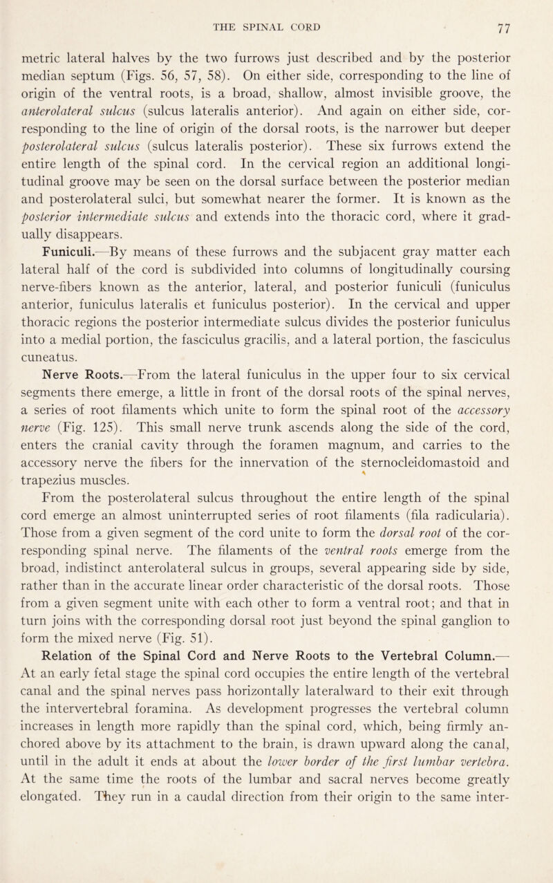metric lateral halves by the two furrows just described and by the posterior median septum (Figs. 56, 57, 58). On either side, corresponding to the line of origin of the ventral roots, is a broad, shallow, almost invisible groove, the anterolateral sulcus (sulcus lateralis anterior). And again on either side, cor¬ responding to the line of origin of the dorsal roots, is the narrower but deeper posterolateral sulcus (sulcus lateralis posterior). These six furrows extend the entire length of the spinal cord. In the cervical region an additional longi¬ tudinal groove may be seen on the dorsal surface between the posterior median and posterolateral sulci, but somewhat nearer the former. It is known as the posterior intermediate sulcus and extends into the thoracic cord, where it grad¬ ually disappears. Funiculi.—By means of these furrows and the subjacent gray matter each lateral half of the cord is subdivided into columns of longitudinally coursing nerve-fibers known as the anterior, lateral, and posterior funiculi (funiculus anterior, funiculus lateralis et funiculus posterior). In the cervical and upper thoracic regions the posterior intermediate sulcus divides the posterior funiculus into a medial portion, the fasciculus gracilis, and a lateral portion, the fasciculus cuneatus. Nerve Roots.—From the lateral funiculus in the upper four to six cervical segments there emerge, a little in front of the dorsal roots of the spinal nerves, a series of root filaments which unite to form the spinal root of the accessory nerve (Fig. 125). This small nerve trunk ascends along the side of the cord, enters the cranial cavity through the foramen magnum, and carries to the accessory nerve the fibers for the innervation of the sternocleidomastoid and trapezius muscles. From the posterolateral sulcus throughout the entire length of the spinal cord emerge an almost uninterrupted series of root filaments (fila radicularia). Those from a given segment of the cord unite to form the dorsal root of the cor¬ responding spinal nerve. The filaments of the ventral roots emerge from the broad, indistinct anterolateral sulcus in groups, several appearing side by side, rather than in the accurate linear order characteristic of the dorsal roots. Those from a given segment unite with each other to form a ventral root; and that in turn joins with the corresponding dorsal root just beyond the spinal ganglion to form the mixed nerve (Fig. 51). Relation of the Spinal Cord and Nerve Roots to the Vertebral Column.— At an early fetal stage the spinal cord occupies the entire length of the vertebral canal and the spinal nerves pass horizontally lateralward to their exit through the intervertebral foramina. As development progresses the vertebral column increases in length more rapidly than the spinal cord, which, being firmly an¬ chored above by its attachment to the brain, is drawn upward along the canal, until in the adult it ends at about the lower border of the first lumbar vertebra. At the same time the roots of the lumbar and sacral nerves become greatly elongated. They run in a caudal direction from their origin to the same inter-