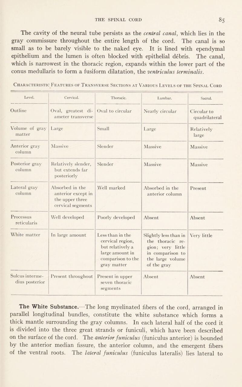 The cavity of the neural tube persists as the central canal, which lies in the gray commissure throughout the entire length of the cord. The canal is so small as to be barely visible to the naked eye. It is lined with ependymal epithelium and the lumen is often blocked with epithelial debris. The canal, which is narrowest in the thoracic region, expands within the lower part of the conus medullaris to form a fusiform dilatation, the ventriculus terminalis. Characteristic Features of Transverse Sections at Various Levels of the Spinal Cord Level. Cervical. Thoracic. Lumbar. Sacral. Outline Oval, greatest di¬ ameter transverse Oval to circular Nearly circular Circular to quadrilateral Volume of gray matter Large Small Large Relatively large Anterior gray column Massive Slender Massive Massive Posterior gray column Relatively slender, but extends far posteriorly Slender Massive Massive Lateral gray column Absorbed in the anterior except in the upper three cervical segments Well marked Absorbed in the anterior column Present Processus reticularis Well developed Poorly developed Absent Absent White matter In large amount Less than in the cervical region, but relatively a large amount in comparison to the gray matter Slightly less than in the thoracic re¬ gion; very little in comparison to the large volume of the gray Very little Sulcus interme- dius posterior Present throughout Present in upper seven thoracic segments Absent Absent The White Substance.—The long myelinated fibers of the cord, arranged in parallel longitudinal bundles, constitute the white substance which forms a thick mantle surrounding the gray columns. In each lateral half of the cord it is divided into the three great strands or funiculi, which have been described on the surface of the cord. The anterior funiculus (funiculus anterior) is bounded by the anterior median fissure, the anterior column, and the emergent fibers of the ventral roots. The lateral funiculus (funiculus lateralis) lies lateral to
