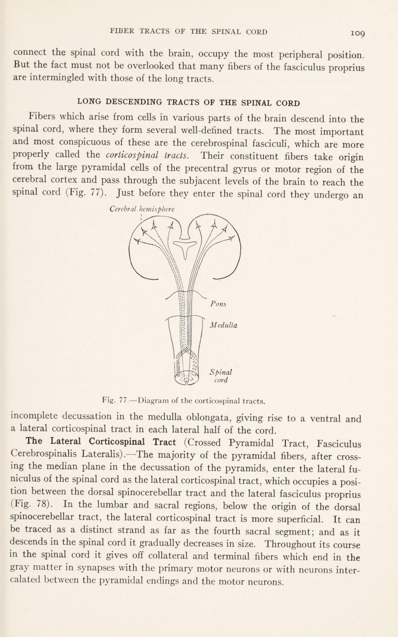 connect the spinal cord with the brain, occupy the most peripheral position. But the fact must not be overlooked that many fibers of the fasciculus proprius are intermingled with those of the long tracts. LONG DESCENDING TRACTS OF THE SPINAL CORD Fibers which arise from cells in various parts of the brain descend into the spinal cord, where they form several well-defined tracts. The most important and most conspicuous of these are the cerebrospinal fasciculi, which are more properly called the covticospiuol tvacts. Their constituent fibers take origin from the large pyramidal cells of the precentral gyrus or motor region of the cerebral cortex and pass through the subjacent levels of the brain to reach the spinal cord (Fig. 77). Just before they enter the spinal cord they undergo an Cerebral hemisphere Fig. 77.—Diagram of the corticospinal tracts. incomplete decussation in the medulla oblongata, giving rise to a ventral and a lateral corticospinal tract in each lateral half of the cord. The Lateral Corticospinal Tract (Crossed Pyramidal Tract, Fasciculus Cerebrospinalis Lateralis).—The majority of the pyramidal fibers, after cross¬ ing the median plane in the decussation of the pyramids, enter the lateral fu¬ niculus of the spinal cord as the lateral corticospinal tract, which occupies a posi¬ tion between the dorsal spinocerebellar tract and the lateral fasciculus proprius (Fig. 78). In the lumbar and sacral regions, below the origin of the dorsal spinocerebellar tract, the lateral corticospinal tract is more superficial. It can be traced as a distinct strand as far as the fourth sacral segment; and as it descends in the spinal cord it gradually decreases in size. Throughout its course in the spinal cord it gives off collateral and terminal fibers which end in the gray matter in synapses with the primary motor neurons or with neurons inter¬ calated between the pyramidal endings and the motor neurons.