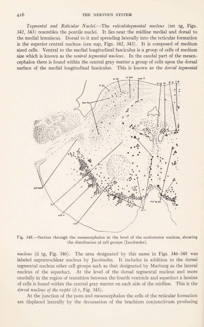 Tegmental and Reticular Nuclei.—The reticulotegmental nucleus (ret tg, Figs. 342, 343) resembles the pontile nuclei. It lies near the midline medial and dorsal to the medial lemniscus. Dorsal to it and spreading laterally into the reticular formation is the superior central nucleus (cen sup, Figs. 342, 343). It is composed of medium sized cells. Ventral to the medial longitudinal fasciculus is a group of cells of medium size which is known as the ventral tegmental nucleus. In the caudal part of the mesen¬ cephalon there is found within the central gray matter a group of cells upon the dorsal surface of the medial longitudinal fasciculus. This is known as the dorsal tegmental Fig. 348.—Section through the mesencephalon at the level of the oculomotor nucleus, showing the distribution of cell groups (Jacobsohn). nucleus (d tg, Fig. 346). The area designated by this name in Figs. 346-348 was labeled supratrochlear nucleus by Jacobsohn. It includes in addition to the dorsal tegmental nucleus other cell groups such as that designated by Marburg as the lateral nucleus of the aqueduct. At the level of the dorsal tegmental nucleus and more caudally in the region of transition between the fourth ventricle and aqueduct a lamina of cells is found within the central gray matter on each side of the midline. This is the dorsal nucleus of the raphe (d r, Fig. 345). At the junction of the pons and mesencephalon the cells of the reticular formation are displaced laterally by the decussation of the brachium conjunctivum producing
