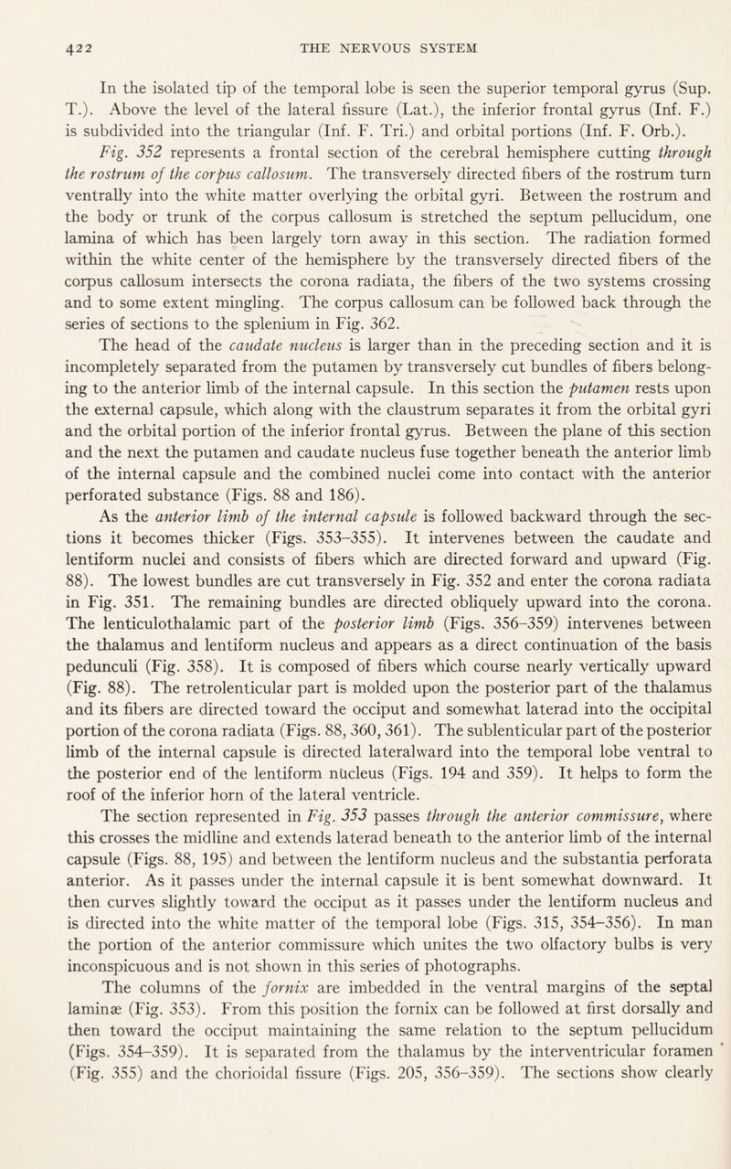 In the isolated tip of the temporal lobe is seen the superior temporal gyrus (Sup. T.). Above the level of the lateral fissure (Lat.), the inferior frontal gyrus (Inf. F.) is subdivided into the triangular (Inf. F. Tri.) and orbital portions (Inf. F. Orb.). Fig. 352 represents a frontal section of the cerebral hemisphere cutting through the rostrum of the corpus callosum. The transversely directed fibers of the rostrum turn ventrally into the white matter overlying the orbital gyri. Between the rostrum and the body or trunk of the corpus callosum is stretched the septum pellucidum, one lamina of which has been largely torn away in this section. The radiation formed within the white center of the hemisphere by the transversely directed fibers of the corpus callosum intersects the corona radiata, the fibers of the two systems crossing and to some extent mingling. The corpus callosum can be followed back through the series of sections to the splenium in Fig. 362. The head of the caudate nucleus is larger than in the preceding section and it is incompletely separated from the putamen by transversely cut bundles of fibers belong¬ ing to the anterior limb of the internal capsule. In this section the putamen rests upon the external capsule, which along with the claustrum separates it from the orbital gyri and the orbital portion of the inferior frontal gyrus. Between the plane of this section and the next the putamen and caudate nucleus fuse together beneath the anterior limb of the internal capsule and the combined nuclei come into contact with the anterior perforated substance (Figs. 88 and 186). As the anterior limb of the internal capsule is followed backward through the sec¬ tions it becomes thicker (Figs. 353-355). It intervenes between the caudate and lentiform nuclei and consists of fibers which are directed forward and upward (Fig. 88). The lowest bundles are cut transversely in Fig. 352 and enter the corona radiata in Fig. 351. The remaining bundles are directed obliquely upward into the corona. The lenticulothalamic part of the posterior limb (Figs. 356-359) intervenes between the thalamus and lentiform nucleus and appears as a direct continuation of the basis pedunculi (Fig. 358). It is composed of fibers which course nearly vertically upward (Fig. 88). The retrolenticular part is molded upon the posterior part of the thalamus and its fibers are directed toward the occiput and somewhat laterad into the occipital portion of the corona radiata (Figs. 88, 360, 361). The sublenticular part of the posterior limb of the internal capsule is directed lateralward into the temporal lobe ventral to the posterior end of the lentiform nucleus (Figs. 194 and 359). It helps to form the roof of the inferior horn of the lateral ventricle. The section represented in Fig. 353 passes through the anterior commissure, where this crosses the midline and extends laterad beneath to the anterior limb of the internal capsule (Figs. 88, 195) and between the lentiform nucleus and the substantia perforata anterior. As it passes under the internal capsule it is bent somewhat downward. It then curves slightly toward the occiput as it passes under the lentiform nucleus and is directed into the white matter of the temporal lobe (Figs. 315, 354-356). In man the portion of the anterior commissure which unites the two olfactory bulbs is very inconspicuous and is not shown in this series of photographs. The columns of the fornix are imbedded in the ventral margins of the septal laminae (Fig. 353). From this position the fornix can be followed at first dorsally and then toward the occiput maintaining the same relation to the septum pellucidum (Figs. 354-359). It is separated from the thalamus by the interventricular foramen * (Fig. 355) and the chorioidal fissure (Figs. 205, 356-359). The sections show clearly