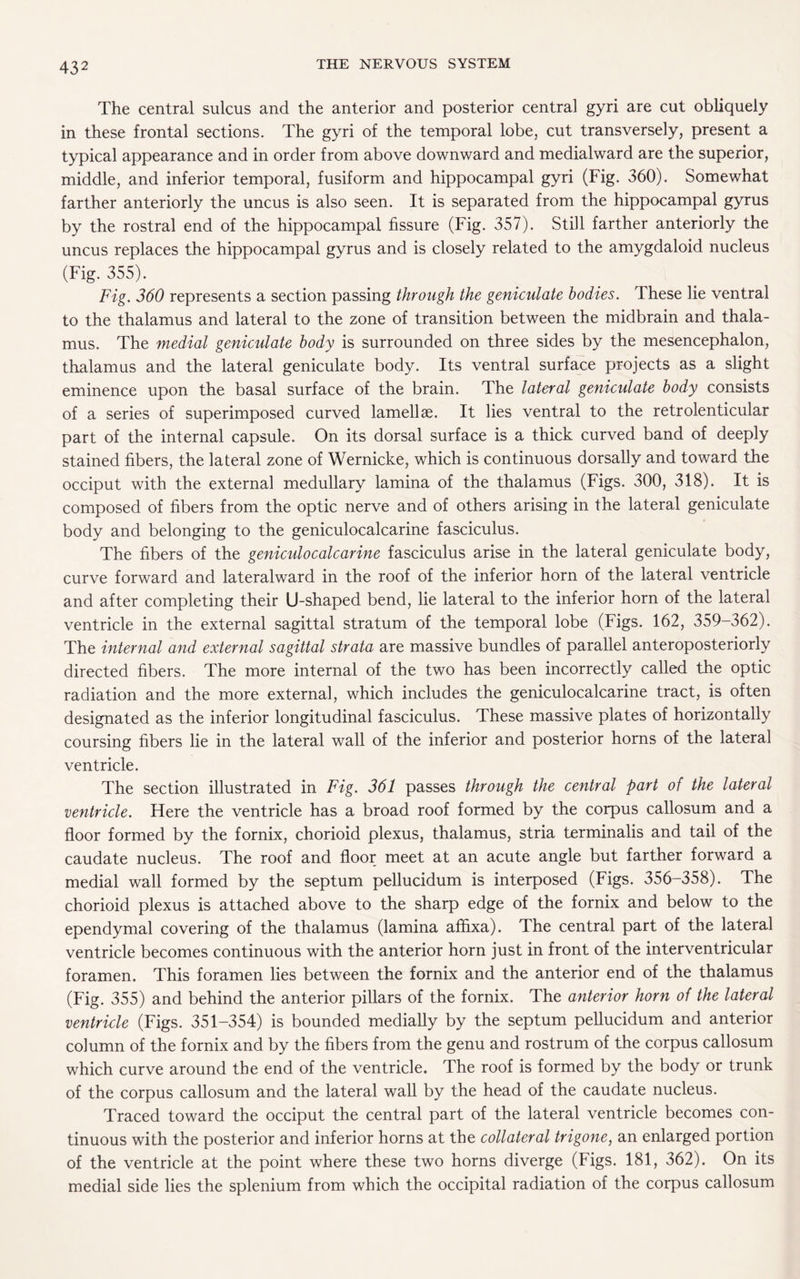 43 2 The central sulcus and the anterior and posterior central gyri are cut obliquely in these frontal sections. The gyri of the temporal lobe, cut transversely, present a typical appearance and in order from above downward and medialward are the superior, middle, and inferior temporal, fusiform and hippocampal gyri (Fig. 360). Somewhat farther anteriorly the uncus is also seen. It is separated from the hippocampal gyrus by the rostral end of the hippocampal fissure (Fig. 357). Still farther anteriorly the uncus replaces the hippocampal gyrus and is closely related to the amygdaloid nucleus (Fig. 355). Fig. 360 represents a section passing through the geniculate bodies. These lie ventral to the thalamus and lateral to the zone of transition between the midbrain and thala¬ mus. The medial geniculate body is surrounded on three sides by the mesencephalon, thalamus and the lateral geniculate body. Its ventral surface projects as a slight eminence upon the basal surface of the brain. The lateral geniculate body consists of a series of superimposed curved lamellae. It lies ventral to the retrolenticular part of the internal capsule. On its dorsal surface is a thick curved band of deeply stained fibers, the lateral zone of Wernicke, which is continuous dorsally and toward the occiput with the external medullary lamina of the thalamus (Figs. 300, 318). It is composed of fibers from the optic nerve and of others arising in the lateral geniculate body and belonging to the geniculocalcarine fasciculus. The fibers of the geniculocalcarine fasciculus arise in the lateral geniculate body, curve forward and lateralward in the roof of the inferior horn of the lateral ventricle and after completing their U-shaped bend, lie lateral to the inferior horn of the lateral ventricle in the external sagittal stratum of the temporal lobe (Figs. 162, 359-362). The internal and external sagittal strata are massive bundles of parallel anteroposteriorly directed fibers. The more internal of the two has been incorrectly called the optic radiation and the more external, which includes the geniculocalcarine tract, is often designated as the inferior longitudinal fasciculus. These massive plates of horizontally coursing fibers lie in the lateral wall of the inferior and posterior horns of the lateral ventricle. The section illustrated in Fig. 361 passes through the central part of the lateral ventricle. Here the ventricle has a broad roof formed by the corpus callosum and a floor formed by the fornix, chorioid plexus, thalamus, stria terminalis and tail of the caudate nucleus. The roof and floor meet at an acute angle but farther forward a medial wall formed by the septum pellucidum is interposed (Figs. 356-358). The chorioid plexus is attached above to the sharp edge of the fornix and below to the ependymal covering of the thalamus (lamina affixa). The central part of the lateral ventricle becomes continuous with the anterior horn just in front of the interventricular foramen. This foramen lies between the fornix and the anterior end of the thalamus (Fig. 355) and behind the anterior pillars of the fornix. The anterior horn of the lateral ventricle (Figs. 351-354) is bounded medially by the septum pellucidum and anterior column of the fornix and by the fibers from the genu and rostrum of the corpus callosum which curve around the end of the ventricle. The roof is formed by the body or trunk of the corpus callosum and the lateral wall by the head of the caudate nucleus. Traced toward the occiput the central part of the lateral ventricle becomes con¬ tinuous with the posterior and inferior horns at the collateral trigone, an enlarged portion of the ventricle at the point where these two horns diverge (Figs. 181, 362). On its medial side lies the splenium from which the occipital radiation of the corpus callosum