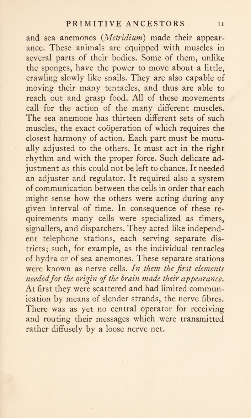 and sea anemones (Metridium) made their appear¬ ance. These animals are equipped with muscles in several parts of their bodies. Some of them, unlike the sponges, have the power to move about a little, crawling slowly like snails. They are also capable of moving their many tentacles, and thus are able to reach out and grasp food. All of these movements call for the action of the many different muscles. The sea anemone has thirteen different sets of such muscles, the exact cooperation of which requires the closest harmony of action. Each part must be mutu¬ ally adjusted to the others. It must act in the right rhythm and with the proper force. Such delicate ad¬ justment as this could not be left to chance. It needed an adjuster and regulator. It required also a system of communication between the cells in order that each might sense how the others were acting during any given interval of time. In consequence of these re¬ quirements many cells were specialized as timers, signallers, and dispatchers. They acted like independ¬ ent telephone stations, each serving separate dis¬ tricts; such, for example, as the individual tentacles of hydra or of sea anemones. These separate stations were known as nerve cells. In them the first elements needed for the origin of the brain made their appearance. At first they were scattered and had limited commun¬ ication by means of slender strands, the nerve fibres. There was as yet no central operator for receiving and routing their messages which were transmitted rather diffusely by a loose nerve net.