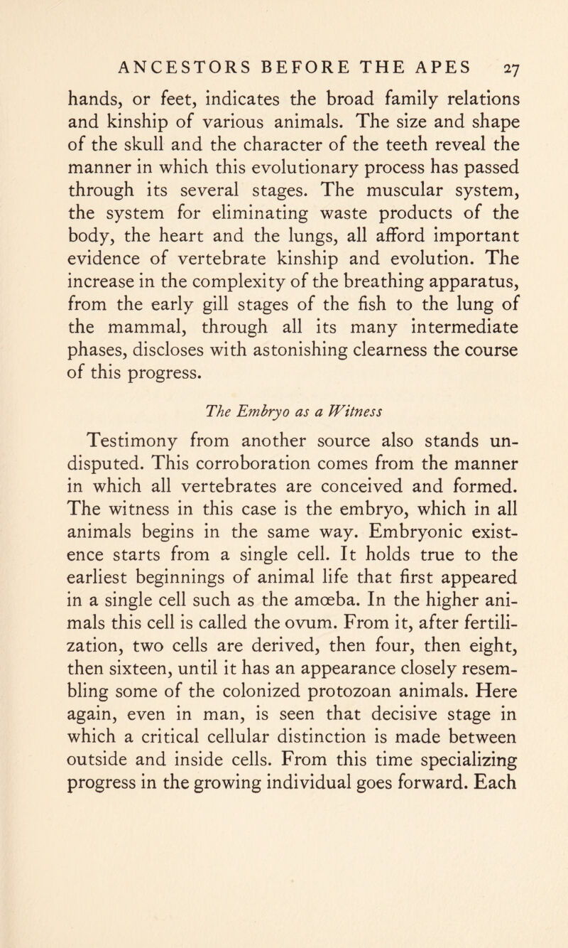 hands, or feet, indicates the broad family relations and kinship of various animals. The size and shape of the skull and the character of the teeth reveal the manner in which this evolutionary process has passed through its several stages. The muscular system, the system for eliminating waste products of the body, the heart and the lungs, all afford important evidence of vertebrate kinship and evolution. The increase in the complexity of the breathing apparatus, from the early gill stages of the fish to the lung of the mammal, through all its many intermediate phases, discloses with astonishing clearness the course of this progress. The Embryo as a Witness Testimony from another source also stands un¬ disputed. This corroboration comes from the manner in which all vertebrates are conceived and formed. The witness in this case is the embryo, which in all animals begins in the same way. Embryonic exist¬ ence starts from a single cell. It holds true to the earliest beginnings of animal life that first appeared in a single cell such as the amoeba. In the higher ani¬ mals this cell is called the ovum. From it, after fertili¬ zation, two cells are derived, then four, then eight, then sixteen, until it has an appearance closely resem¬ bling some of the colonized protozoan animals. Here again, even in man, is seen that decisive stage in which a critical cellular distinction is made between outside and inside cells. From this time specializing progress in the growing individual goes forward. Each