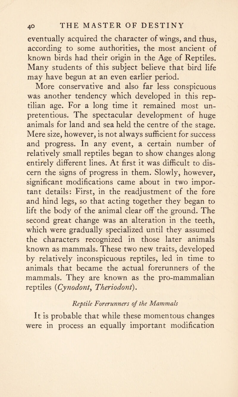 eventually acquired the character of wings, and thus, according to some authorities, the most ancient of known birds had their origin in the Age of Reptiles. Many students of this subject believe that bird life may have begun at an even earlier period. More conservative and also far less conspicuous was another tendency which developed in this rep¬ tilian age. For a long time it remained most un¬ pretentious. The spectacular development of huge animals for land and sea held the centre of the stage. Mere size, however, is not always sufficient for success and progress. In any event, a certain number of relatively small reptiles began to show changes along entirely different lines. At first it was difficult to dis¬ cern the signs of progress in them. Slowly, however, significant modifications came about in two impor¬ tant details: First, in the readjustment of the fore and hind legs, so that acting together they began to lift the body of the animal clear off the ground. The second great change was an alteration in the teeth, which were gradually specialized until they assumed the characters recognized in those later animals known as mammals. These two new traits, developed by relatively inconspicuous reptiles, led in time to animals that became the actual forerunners of the mammals. They are known as the pro-mammalian reptiles (Cynodont, Theriodont). Reptile Forerunners of the Mammals It is probable that while these momentous changes were in process an equally important modification