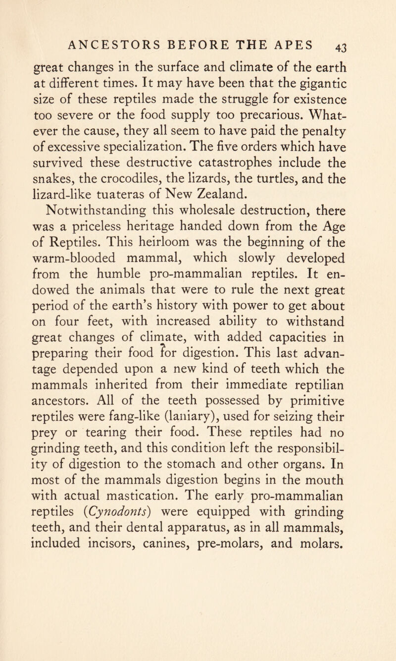 great changes in the surface and climate of the earth at different times. It may have been that the gigantic size of these reptiles made the struggle for existence too severe or the food supply too precarious. What¬ ever the cause, they all seem to have paid the penalty of excessive specialization. The five orders which have survived these destructive catastrophes include the snakes, the crocodiles, the lizards, the turtles, and the lizard-like tuateras of New Zealand. Notwithstanding this wholesale destruction, there was a priceless heritage handed down from the Age of Reptiles. This heirloom was the beginning of the warm-blooded mammal, which slowly developed from the humble pro-mammalian reptiles. It en¬ dowed the animals that were to rule the next great period of the earth's history with power to get about on four feet, with increased ability to withstand great changes of climate, with added capacities in preparing their food for digestion. This last advan¬ tage depended upon a new kind of teeth which the mammals inherited from their immediate reptilian ancestors. All of the teeth possessed by primitive reptiles were fang-like (laniary), used for seizing their prey or tearing their food. These reptiles had no grinding teeth, and this condition left the responsibil¬ ity of digestion to the stomach and other organs. In most of the mammals digestion begins in the mouth with actual mastication. The early pro-mammalian reptiles (Cynodonts) were equipped with grinding teeth, and their dental apparatus, as in all mammals, included incisors, canines, pre-molars, and molars.