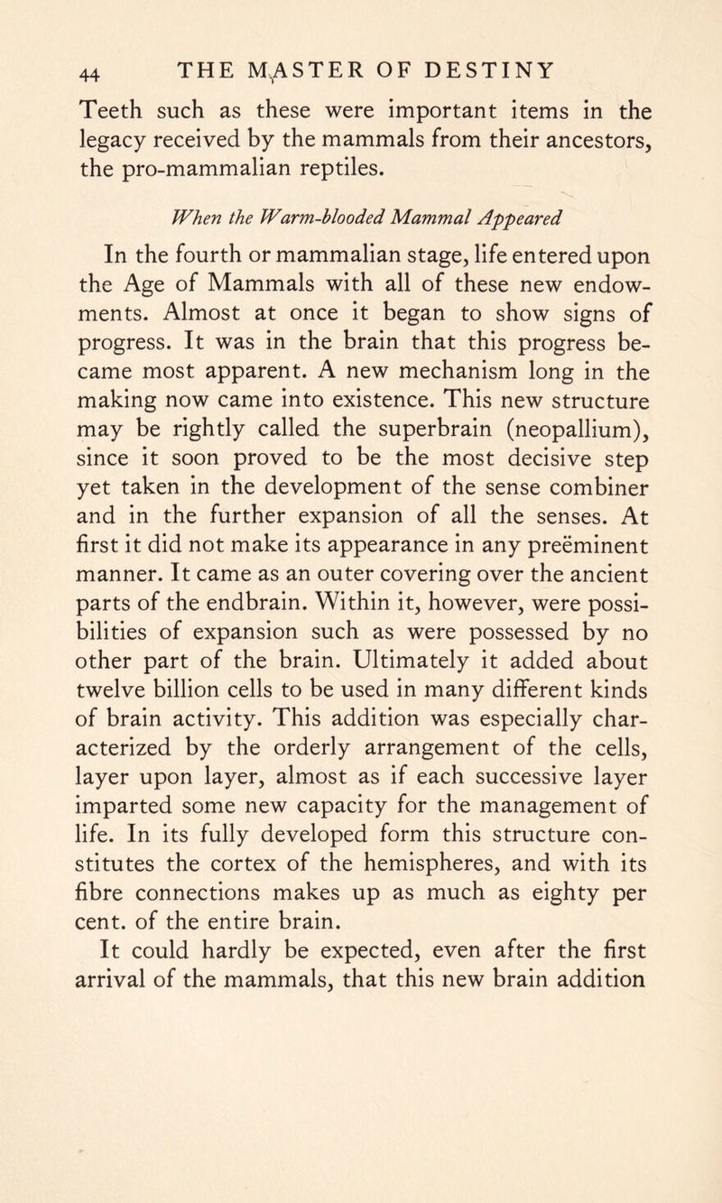 Teeth such as these were important items in the legacy received by the mammals from their ancestors, the pro-mammalian reptiles. When the Warm-blooded Mammal Appeared In the fourth or mammalian stage, life entered upon the Age of Mammals with all of these new endow¬ ments. Almost at once it began to show signs of progress. It was in the brain that this progress be¬ came most apparent. A new mechanism long in the making now came into existence. This new structure may be rightly called the superbrain (neopallium), since it soon proved to be the most decisive step yet taken in the development of the sense combiner and in the further expansion of all the senses. At first it did not make its appearance in any preeminent manner. It came as an outer covering over the ancient parts of the endbrain. Within it, however, were possi¬ bilities of expansion such as were possessed by no other part of the brain. Ultimately it added about twelve billion cells to be used in many different kinds of brain activity. This addition was especially char¬ acterized by the orderly arrangement of the cells, layer upon layer, almost as if each successive layer imparted some new capacity for the management of life. In its fully developed form this structure con¬ stitutes the cortex of the hemispheres, and with its fibre connections makes up as much as eighty per cent, of the entire brain. It could hardly be expected, even after the first arrival of the mammals, that this new brain addition