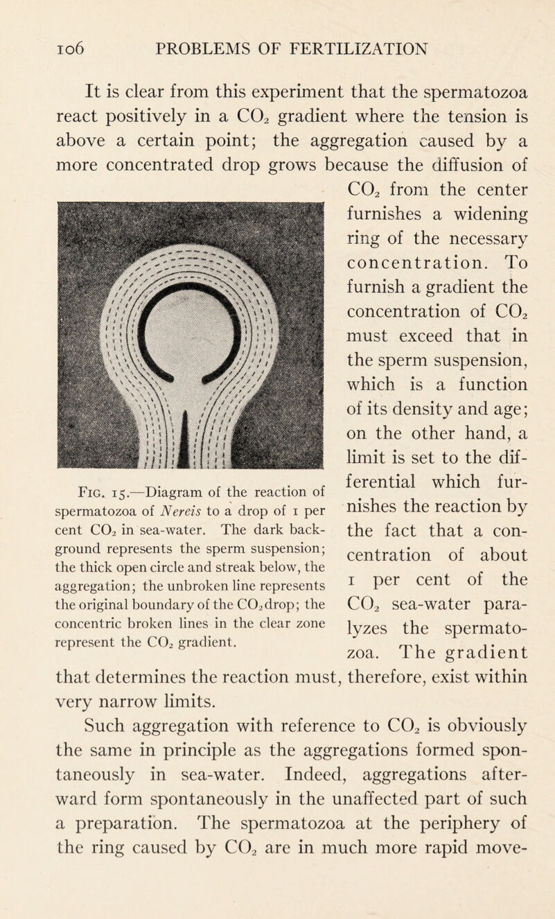 It is clear from this experiment that the spermatozoa react positively in a C02 gradient where the tension is above a certain point; the aggregation caused by a more concentrated drop grows because the diffusion of C02 from the center furnishes a widening ring of the necessary concentration. To furnish a gradient the concentration of C02 must exceed that in the sperm suspension, which is a function of its density and age; on the other hand, a limit is set to the dif- ferential which fur- nishes the reaction by the fact that a con- centration of about i per cent of the C02 sea-water para- lyzes the spermato- zoa. The gradient that determines the reaction must, therefore, exist within very narrow limits. Such aggregation with reference to C02 is obviously the same in principle as the aggregations formed spon- taneously in sea-water. Indeed, aggregations after- ward form spontaneously in the unaffected part of such a preparation. The spermatozoa at the periphery of the ring caused by C02 are in much more rapid move- Fig. 15.—Diagram of the reaction of spermatozoa of Nereis to a drop of 1 per cent C02 in sea-water. The dark back- ground represents the sperm suspension; the thick open circle and streak below, the aggregation; the unbroken line represents the original boundary of the C02drop; the concentric broken lines in the clear zone represent the C02 gradient.