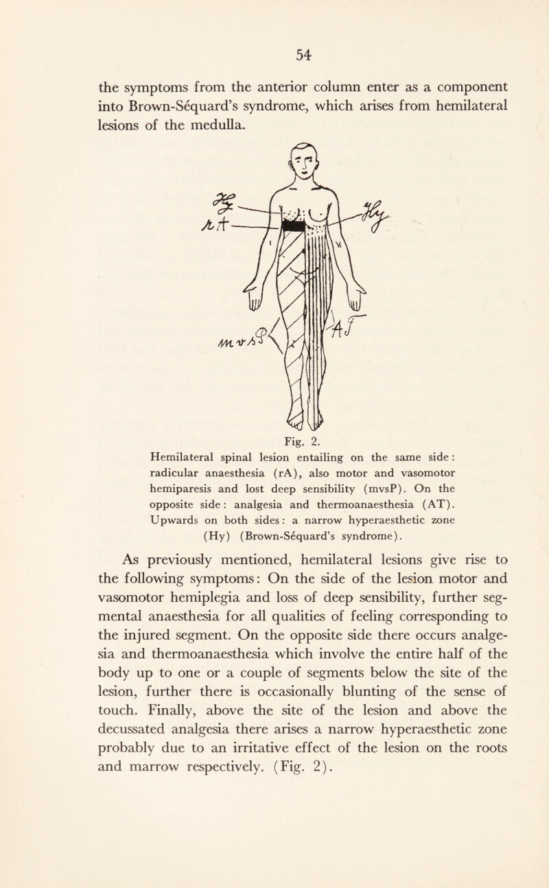 the symptoms from the anterior column enter as a component into Brown-Sequard’s syndrome, which arises from hemilateral lesions of the medulla. Hemilateral spinal lesion entailing on the same side: radicular anaesthesia (rA), also motor and vasomotor hemiparesis and lost deep sensibility (mvsP). On the opposite side: analgesia and thermoanaesthesia (AT). Upwards on both sides : a narrow hyperaesthetic zone (Hy) (Brown-Sequard’s syndrome). As previously mentioned, hemilateral lesions give rise to the following symptoms: On the side of the lesion motor and vasomotor hemiplegia and loss of deep sensibility, further seg¬ mental anaesthesia for all qualities of feeling corresponding to the injured segment. On the opposite side there occurs analge¬ sia and thermoanaesthesia which involve the entire half of the body up to one or a couple of segments below the site of the lesion, further there is occasionally blunting of the sense of touch. Finally, above the site of the lesion and above the decussated analgesia there arises a narrow hyperaesthetic zone probably due to an irritative effect of the lesion on the roots and marrow respectively. (Fig. 2).