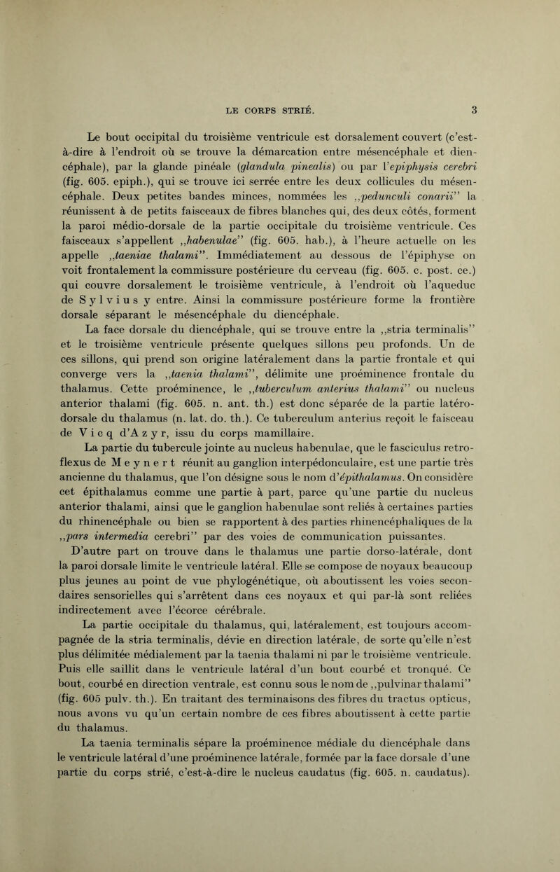 Le bout occipital du troisième ventricule est dorsalement couvert (c’est- à-dire à l’endroit où se trouve la démarcation entre mésencéphale et dien- céphale), par la glande pinéale (glandula pinealis) ou par Y epiphysis cerebri (fig. 605. epiph.), qui se trouve ici serrée entre les deux collicules du mésen¬ céphale. Deux petites bandes minces, nommées les „pedunculi conarii” la réunissent à de petits faisceaux de fibres blanches qui, des deux côtés, forment la paroi médio-dorsale de la partie occipitale du troisième ventricule. Ces faisceaux s’appellent ,,habenulae” (fig. 605. hab.), à l’heure actuelle on les appelle ,,taeniae thalami”. Immédiatement au dessous de l’épiphyse on voit frontalement la commissure postérieure du cerveau (fig. 605. c. post. ce.) qui couvre dorsalement le troisième ventricule, à l’endroit où l’aqueduc de Sylvius y entre. Ainsi la commissure postérieure forme la frontière dorsale séparant le mésencéphale du diencéphale. La face dorsale du diencéphale, qui se trouve entre la ,,stria terminalis” et le troisième ventricule présente quelques sillons peu profonds. Un de ces sillons, qui prend son origine latéralement dans la partie frontale et qui converge vers la ,,taenia thalami”, délimite une proéminence frontale du thalamus. Cette proéminence, le ,,tuberculum anterius thalami” ou nucleus anterior thalami (fig. 605. n. ant. th.) est donc séparée de la partie latéro- dorsale du thalamus (n. lat. do. th.). Ce tuberculum anterius reçoit le faisceau de V i c q d’A z y r, issu du corps mamillaire. La partie du tubercule jointe au nucleus habenulae, que le fasciculus retro- flexus de Meynert réunit au ganglion interpédonculaire, est une partie très ancienne du thalamus, que l’on désigne sous le nom d’épithalamus. On considère cet épithalamus comme une partie à part, parce qu’une partie du nucleus anterior thalami, ainsi que le ganglion habenulae sont reliés à certaines parties du rhinencéphale ou bien se rapportent à des parties rhineneéphaliques de la „pars intermedia cerebri” par des voies de communication puissantes. D’autre part on trouve dans le thalamus une partie dorso-latérale, dont la paroi dorsale limite le ventricule latéral. Elle se compose de noyaux beaucoup plus jeunes au point de vue phylogénétique, où aboutissent les voies secon¬ daires sensorielles qui s’arrêtent dans ces noyaux et qui par-là sont reliées indirectement avec l’écorce cérébrale. La partie occipitale du thalamus, qui. latéralement, est toujours accom¬ pagnée de la stria terminalis, dévie en direction latérale, de sorte qu’elle n’est plus délimitée médialement par la taenia thalami ni par le troisième ventricule. Puis elle saillit dans le ventricule latéral d’un bout courbé et tronqué. Ce bout, courbé en direction ventrale, est connu sous le nom de ,,pulvinar thalami” (fig. 605 pulv. th.). En traitant des terminaisons des fibres du tractus opticus, nous avons vu qu’un certain nombre de ces fibres aboutissent à cette partie du thalamus. La taenia terminalis sépare la proéminence médiale du diencéphale dans le ventricule latéral d’une proéminence latérale, formée par la face dorsale d’une partie du corps strié, c’est-à-dire le nucleus caudatus (fig. 605. n. caudatus).