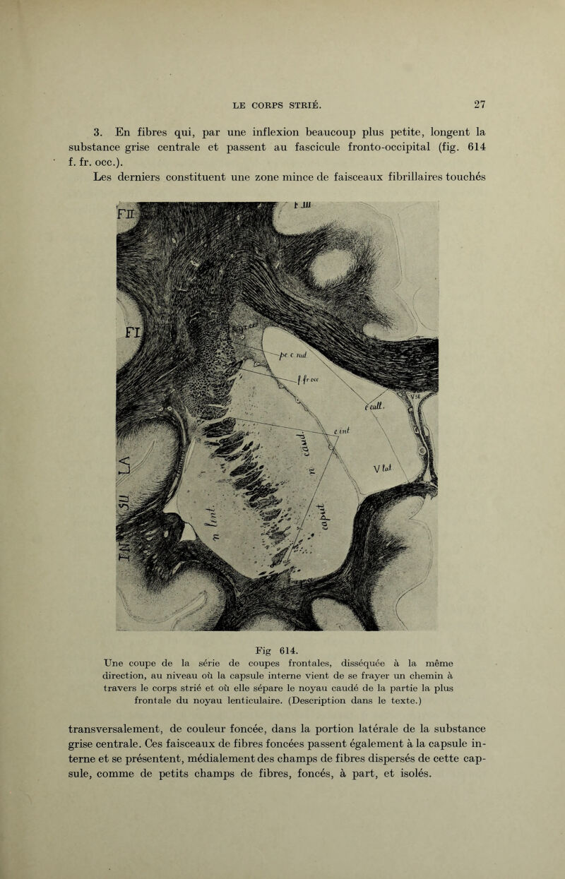 3. En fibres qui, par une inflexion beaucoup plus petite, longent la substance grise centrale et passent au fascicule fronto-occipital (fig. 614 f. fr. occ.). Les derniers constituent une zone mince de faisceaux fibrillaires touchés Fig 614. Une coupe de la série de coupes frontales, disséquée à la même direction, au niveau où la capsule interne vient de se frayer un chemin à travers le corps strié et où elle sépare le noyau caudé de la partie la plus frontale du noyau lenticulaire. (Description dans le texte.) transversalement, de couleur foncée, dans la portion latérale de la substance grise centrale. Ces faisceaux de fibres foncées passent également à la capsule in¬ terne et se présentent, médialement des champs de fibres dispersés de cette cap¬ sule, comme de petits champs de fibres, foncés, à part, et isolés.