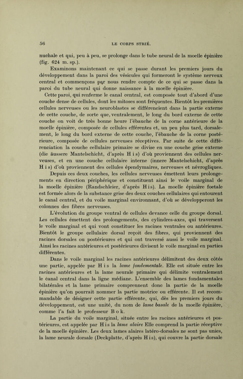 nuchale et qui, peu à peu, se prolonge dans le tube neural de la moelle épinière (fig. 624 m. sp.). Examinons maintenant ce qui se passe durant les premiers jours du développement dans la paroi des vésicules qui formeront le système nerveux central et commençons pqr nous rendre compte de ce qui se passe dans la paroi du tube neural qui donne naissance à la moelle épinière. Cette paroi, qui renferme le canal central, est composée tout d’abord d’une couche dense de cellules, dont les mitoses sont fréquentes. Bientôt les premières cellules nerveuses ou les neuroblastes se différencient dans la partie externe de cette couche, de sorte que, ventralement, le long du bord externe de cette couche on voit de très bonne heure l’ébauche de la corne antérieure de la moelle épinière, composée de cellules efférentes et, un peu plus tard, dorsale- ment, le long du bord externe de cette couche, l’ébauche de la corne posté¬ rieure, composée de cellules nerveuses réceptives. Par suite de cette diffé¬ renciation la couche cellulaire primaire se divise en une couche grise externe (die àussere Mantelschicht, d’après H i s) d’où proviennent des cellules ner¬ veuses, et en une couche cellulaire interne (innere Mantelschicht, d’après H i s) d’où proviennent des cellules épendymaires, nerveuses et névrogliques. Depuis ces deux couches, les cellules nerveuses émettent leurs prolonge¬ ments en direction périphérique et constituent ainsi le voile marginal de la moelle épinière (Randschleier, d’après His). La moelle épinière foetale est formée alors de la substance grise des deux couches cellulaires qui entourent le canal central, et du voile marginal environnant, d’où se développeront les colonnes des fibres nerveuses. L’évolution du groupe ventral de cellules devance celle du groupe dorsal. Les cellules émettent des prolongements, des cylindres-axes, qui traversent le voile marginal et qui vont constituer les racines ventrales ou antérieures. Bientôt le groupe cellulaire dorsal reçoit des fibres, qui proviennent des racines dorsales ou postérieures et qui ont traversé aussi le voile marginal. Ainsi les racines antérieures et postérieures divisent le voile marginal en parties différentes. Dans le voile marginal les racines antérieures délimitent des deux côtés une partie, appelée par H i s la lame fondamentale. Elle est située entre les racines antérieures et la lame neurale primaire qui délimite ventralement le canal central dans la ligne médiane. L’ensemble des lames fondamentales bilatérales et la lame primaire comprennent donc la partie de la moelle épinière qu’on pourrait nommer la partie motrice ou efférente. Il est recom¬ mandable de désigner cette partie efférente, qui, dès les premiers jours du développement, est une unité, du nom de lame basale de la moelle épinière, comme l’a fait le professeur B o k. La partie du voile marginal, située entre les racines antérieures et pos¬ térieures, est appelée par His la lame alaire Elle comprend la partie réceptive de la moelle épinière. Les deux lames alaires latéro-dorsales ne sont pas unies, la lame neurale dorsale (Deckplatte, d’après His), qui couvre la partie dorsale