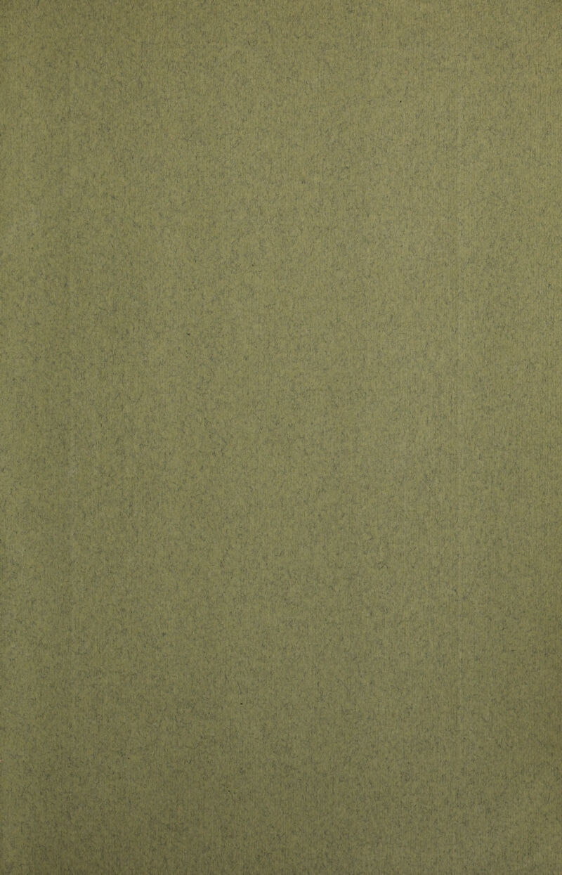 .M\ v < i}' ■ :.;/•■ v . ■ s • • 4 •*,vv i • * J. • V>- , X , I * ?Ti-. ~ ' v: ; r,-M * VN . VWÏ'iït 4i*r£‘* :•*&#• >\iV ■ ,v V', •' fè* « %'•; Vn / . . * V ttV ' ' 'v*** * .».v -\ f « , v -Jy ■ :•■ ■ • .•• r-‘r '. fcp ■ ï . :\ .... \:?,v2* -.v •' . , / . .•• . -