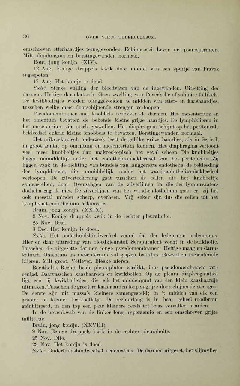 omschreven etterhaardjes teruggevonden. Echinococci. Lever met psorospermien. Milt, diaphragma en borstingewanden normaal. Bont, jong konijn. (XIV). 12 Aug. Eenige druppels kwik door middel van een spuitje van Pravaz ingespoten. 17 Aug, Het konijn is dood. Sectie. Sterke vulling der bloedvaten van de ingewanden. Uitzetting der darmen. Heftige darmkatarrh. Geen zwelling van Peyer’sche of solitaire follikels. De kwikbolletjes worden teruggevonden te midden van etter- en kaashaardjes, tusschen welke meer doorschijnende strengen verloopen. Pseudomembranen met knobbels bedekken de darmen. Het mesenterium en bet omentum bevatten de bekende kleine grijze haardjes. De lymphklieren in bet mesenterium zijn sterk gezwollen. Het diaphragma schijnt op het peritoneale bekleedsel enkele kleine knobbels te bevatten. Borstingewanden normaal. Het mikroskopisch onderzoek leert dergelijke grijze haardjes, als in Serie I, in groot aantal op omentum en mesenterium kennen. Het diaphragma vertoont veel meer knobbeltjes dan makroskopisch het geval scheen. Die knobbeltjes liggen onmiddellijk onder het endotheliumbekleedsel van het peritoneum. Zij liggen vaak in de richting van bundels van langgerekte endothelia, de bekleeding der lymphbanen, die onmiddellijk onder het wand-endotheliumbekleedsel verloopen. De zilverteekening gaat tusschen de cellen die het knobbeltje samenstellen, door. Overgangen van de zilverlijnen in die der lymphvaaten- dothelia zag ik niet. De zilverlijnen van het wand-endothelium gaan er, zij het ook meestal minder scherp, overheen. Vrij zeker zijn dus die cellen uit het lymphvaat-endothelium afkomstig. Bruin, jong konijn. (XXIX). 9 Nov. Eenige druppels kwik in de rechter pleuraholte. 25 Nov. Dito. 3 Dec. Het konijn is dood. Sectie. Het onderhuidsbindweefsel vooral dat der ledematen oedemateus. Hier en daar uittreding van bloedkleurstof. Seropurulent vocht in de buikholte. Tusschen de uitgezette darmen jonge pseudomembranen. Pleftige maag en darm¬ katarrh. Omentum en mesenterium vol grijzen haardjes. Gezwollen mesenteriale klieren. Milt groot. Vetlever. Bleeke nieren. Borstholte. Rechts beide pleuraplaten verdikt, door pseudomembranen ver- eenigd. Daartusschen kaashaarden en kwikbollen. Op de pleura diaphragmatica ligt een rij kwikbolletjes, die elk het middenpunt van een klein kaashaardje uitmaken. Tusschen de grootere kaashaarden loopen grijze doorschijnende strengen. De eerste zijn uit massa’s kleinere zamengesteld ; in ’t midden van elk een grooter of kleiner kwikbolletje. De rechterlong is in haar geheel roodbruin geïnfiltreerd, in den top een paar kleinere reeds tot kaas vervallen haarden. In de bovenkwab van de linker long hyperaemie en een omschreven grijze infiltratie. Bruin, jong konijn. (XXVIII). 9 Nov. Eenige druppels kwik in de rechter pleuraholte. 25 Nov. Dito. 29 Nov. Het konijn is dood. Sectie. Onderhuidsbindweefsel oedemateus. De darmen uitgezet, het slijmvlies