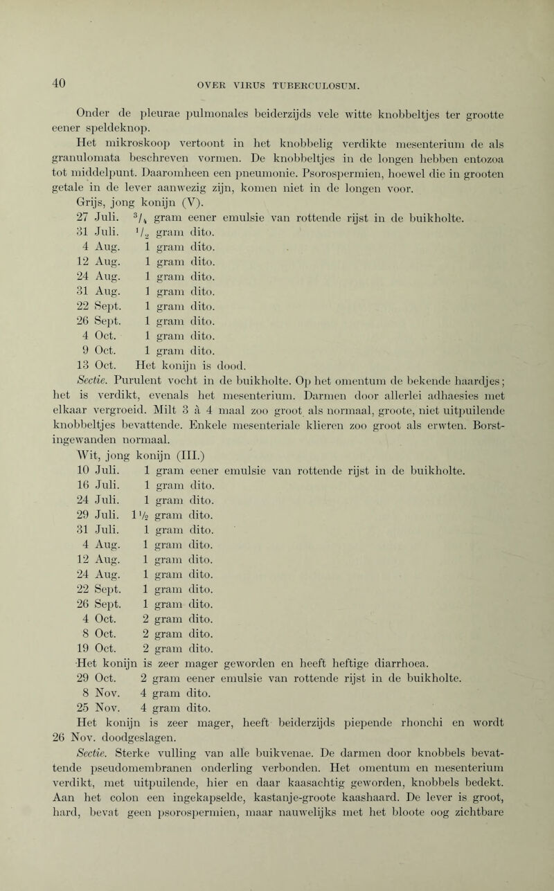 Onder de pleurae pulmonales beiderzijds vele witte knobbeltjes ter grootte eener speldeknop. Het mikroskoop vertoont in het knobbelig verdikte mesenterium de als granulomata beschreven vormen. De knobbeltjes in de longen hebben entozoa tot middelpunt. Daaromheen een pneumonie. Psorospermien, hoewel die in grooten getale in de lever aanwezig zijn, komen niet in de longen voor. Grijs, jong konijn (V). 27 Juli. 3/ / 4 gram eener 31 Juli. V* gram dito. 4 Aug. 1 gram dito. 12 Aug. 1 gram dito. 24 Aug. 1 gram dito. 31 Aug. 1 gram dito. 22 Sept. 1 gram dito. 26 Se])t. 1 gram dito. 4 Oct. 1 gram dito. 9 Oct. 1 gram dito. 13 Oct. Het koni in is 1 Sectie. Purulent vocht in de buikholte. Op het omentum de bekende haardjes; het is verdikt, evenals het mesenterium. Darmen door allerlei adhaesies met elkaar vergroeid. Milt 3 à 4 maal zoo groot als normaal, groote, niet uitpuilende knobbeltjes bevattende. Enkele mesenteriale klieren zoo groot als erwten. Borst- ingewanden normaal. Wit, jong konijn (III.) 10 Juli. 1 gram eener 16 Juli. 1 gram dito. 24 Juli. 1 gram dito. 29 Juli. 1 Vs gram dito. 31 Juli. 1 gram dito. 4 Aug. 1 gram dito. 12 Aug. 1 gram dito. 24 Aug. 1 gram dito. 22 Sept. 1 gram dito. 26 Sept. 1 gram dito. 4 Oct. 2 gram dito. 8 Oct. 2 gram dito. 19 Oct. 2 gram dito. Het konij n is zeer mager 29 Oct. 2 gram eener 8 Nov. 4 gram dito. 25 Nov. 4 gram dito. Het konijn is zeer mager, heeft beiderzijds piepende rhonchi en wordt 26 Nov. doodgeslagen. Sectie. Sterke vulling van alle buikvenae. De darmen door knobbels bevat¬ tende pseudomembranen onderling verbonden. Het omentum en mesenterium verdikt, met uitpuilende, hier en daar kaasachtig geworden, knobbels bedekt. Aan het colon een ingekapselde, kastanje-groote kaashaard. De lever is groot, hard, bevat geen psorospermien, maar nauwelijks met het bloote oog zichtbare