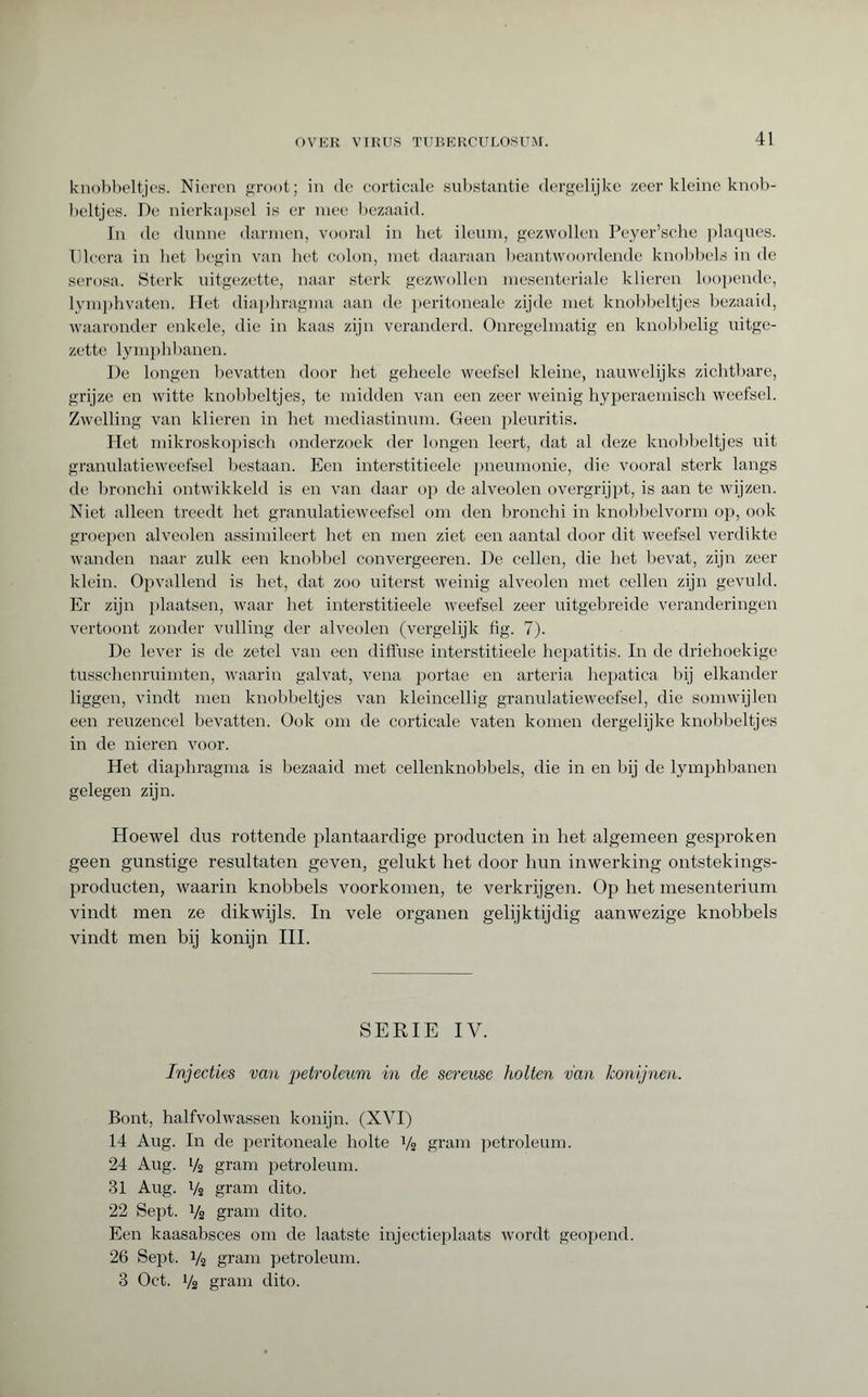 knobbeltjes. Nieren groot; in de corticale substantie dergelijke zeer kleine knob¬ beltjes. De nierkapsel is er mee bezaaid. In de dunne darmen, vooral in het ileum, gezwollen Peyer’sche plaques. Ulcéra in het begin van het colon, met daaraan beantwoordende knobbels in de serosa. Sterk uitgezette, naar sterk gezwollen mesenteriale klieren loopende, lymph vaten. Het diaphragma aan de peritoneale zijde met knobbeltjes bezaaid, waaronder enkele, die in kaas zijn veranderd. Onregelmatig en knobbelig uitge¬ zette lymphbanen. De longen bevatten door het geheele weefsel kleine, nauwelijks zichtbare, grijze en witte knobbeltjes, te midden van een zeer weinig hyperaemisch weefsel. Zwelling van klieren in het mediastinum. Geen pleuritis. Het mikroskopisch onderzoek der longen leert, dat al deze knobbeltjes uit granulatieweefsel bestaan. Een interstitieele pneumonie, die vooral sterk langs de bronchi ontwikkeld is en van daar op de alveolen overgrijpt, is aan te wijzen. Niet alleen treedt het granulatieweefsel om den bronchi in knobbelvorm op, ook groepen alveolen assimileert het en men ziet een aantal door dit weefsel verdikte wanden naar zulk een knobbel convergeeren. De cellen, die het bevat, zijn zeer klein. Opvallend is het, dat zoo uiterst weinig alveolen met cellen zijn gevuld. Er zijn plaatsen, waar het interstitieele weefsel zeer uitgebreide veranderingen vertoont zonder vulling der alveolen (vergelijk hg. 7). De lever is de zetel van een diffuse interstitieele hepatitis. In de driehoekige tusschenruimten, waarin gal vat, vena portae en arteria hepatica bij elkander liggen, vindt men knobbeltjes van kleincellig granulatieweefsel, die somwijlen een reuzencel bevatten. Ook om de corticale vaten komen dergelijke knobbeltjes in de nieren voor. Het diaphragma is bezaaid met cellenknobbels, die in en bij de lymphbanen gelegen zijn. Hoewel dus rottende plantaardige producten in het algemeen gesproken geen gunstige resultaten geven, gelukt het door hun inwerking ontstekings- producten, waarin knobbels voorkomen, te verkrijgen. Op het mesenterium vindt men ze dikwijls. In vele organen gelijktijdig aanwezige knobbels vindt men bij konijn III. SERIE IV. Injecties van petroleum in de sereuse holten van konijnen. Bont, halfvolwassen konijn. (XVI) 14 Aug. In de peritoneale holte Vs gram petroleum. 24 Aug. i/2 gram petroleum. 31 Aug. Vs gram dito. 22 Sept. V2 gram dito. Een kaasabsces om de laatste injectieplaats wordt geopend. 26 Sept. Vs gram petroleum. 3 Oct. V2 gram dito.