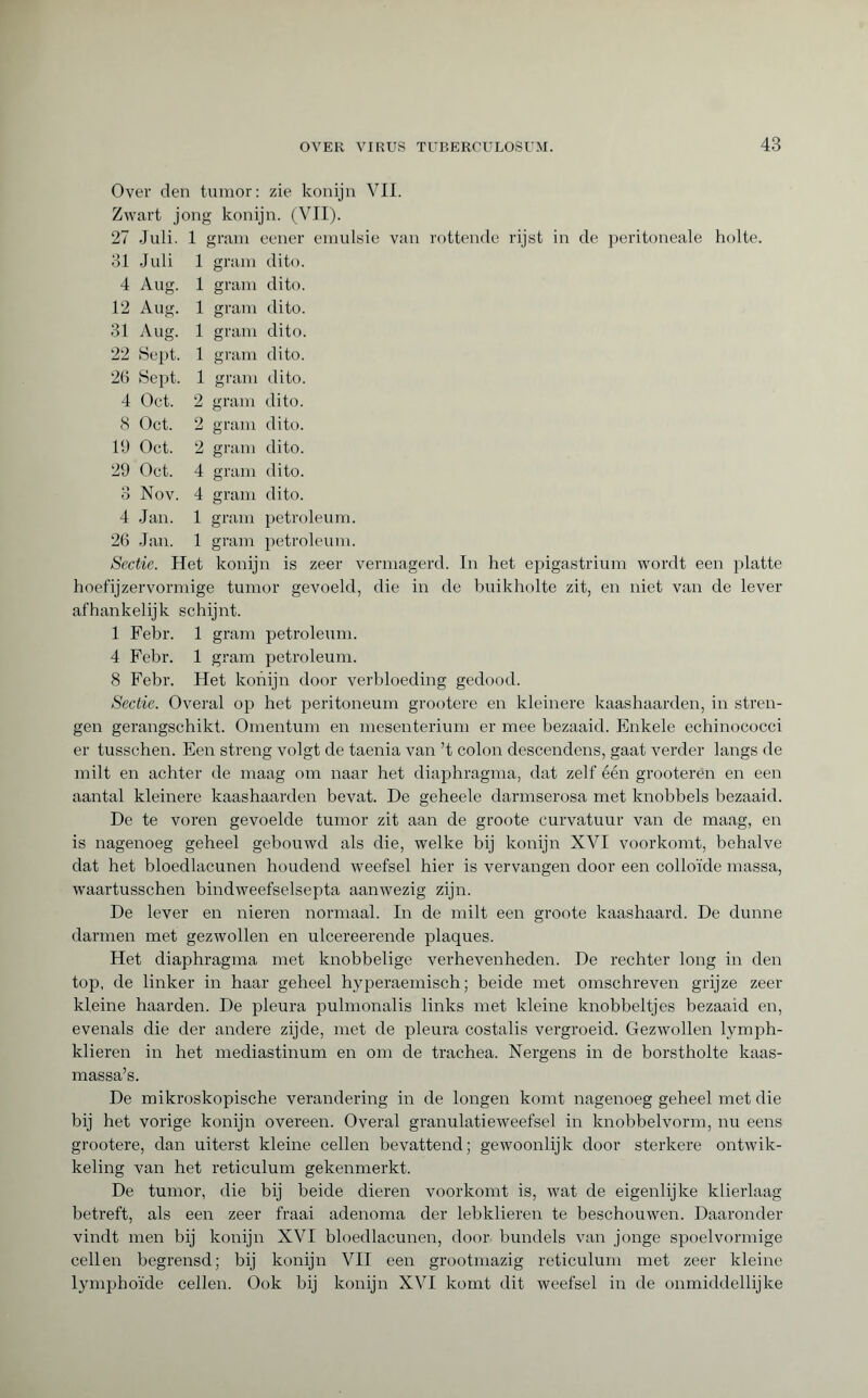 Over den tumor: zie konijn VII. Zwart jong konijn. (VII). 27 Juli. 31 Juli 4 Aug. 12 Aug. 31 Aug. 22 Sept. 26 Sept. 4 Oct. 8 Oct. 19 Oct. 29 Oct. 3 Nov. 4 Jan. 26 Jan. 1 gram eener 1 gram dito. 1 gram dito. 1 gram dito. emulsie van rottende rijst in de peritoneale holte. gram dito, gram dito, gram dito, gram dito, gram dito, gram dito, gram dito, gram dito. gram petroleum, gram petroleum. Sectie. Het konijn is zeer vermagerd. In het epigastrium wordt een platte hoefijzervormige tumor gevoeld, die in de buikholte zit, en niet van de lever afhankelijk schijnt. 1 Febr. 1 gram petroleum. 4 Febr. 1 gram petroleum. 8 Febr. Het konijn door verbloeding gedood. Sectie. Overal op het peritoneum grootere en kleinere kaashaarden, in stren¬ gen gerangschikt. Omentum en mesenterium er mee bezaaid. Enkele echinococci er tusschen. Een streng volgt de taenia van ’t colon descendons, gaat verder langs de milt en achter de maag om naar het diaphragma, dat zelf één grooteren en een aantal kleinere kaashaarden bevat. De geheele darmserosa met knobbels bezaaid. De te voren gevoelde tumor zit aan de groote curvatuur van de maag, en is nagenoeg geheel gebouwd als die, welke bij konijn XVI voorkomt, behalve dat het bloedlacunen houdend weefsel hier is vervangen door een colloïde massa, waartusschen bindweefselsepta aanwezig zijn. De lever en nieren normaal. In de milt een groote kaashaard. De dunne darmen met gezwollen en ulcereerende plaques. Het diaphragma met knobbelige verhevenheden. De rechter long in den top, de linker in haar geheel hyperaemisch ; beide met omschreven grijze zeer kleine haarden. De pleura pulmonalis links met kleine knobbeltjes bezaaid en, evenals die der andere zijde, met de pleura costalis vergroeid. Gezwollen lymph- klieren in het mediastinum en om de trachea. Nergens in de borstholte kaas¬ massa’s. De mikroskopische verandering in de longen komt nagenoeg geheel met die bij het vorige konijn overeen. Overal granulatieweefsel in knobbelvorm, nu eens grootere, dan uiterst kleine cellen bevattend; gewoonlijk door sterkere ontwik¬ keling van het reticulum gekenmerkt. De tumor, die bij beide dieren voorkomt is, wat de eigenlijke klierlaag betreft, als een zeer fraai adenoma der lebklieren te beschouwen. Daaronder vindt men bij konijn XVI bloedlacunen, door bundels van jonge spoelvormige cellen begrensd; bij konijn VII een grootmazig reticulum met zeer kleine lymphoïde cellen. Ook bij konijn XVI komt dit weefsel in de onmiddellijke