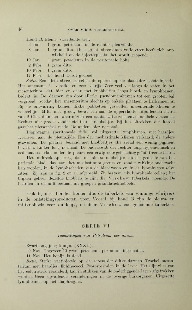 3 Jan. 8 Jan. 19 Jan. 2 Febr. 10 Febr. 17 Febr. Hond B. kleine, zwartbonte teef. 1 gram petroleum in de rechter pleuraholte. 1 gram dito. (Een groot absces met vuile etter heeft zich ont¬ wikkeld op de injectieplaats; het wordt geopend). 1 gram petroleum in de peritoneale holte. 1 gram dito. 1 gram dito. De hond wordt gedood. Sectie. Een klein absces tusschen de spieren op de plaats der laatste injectie. Het omentum is verdikt en zeer vetrijk. Zeer veel vet langs de vaten in het mesenterium, dat hier en daar met knobbeltjes, langs bloed- en lymphbanen, bedekt is. De darmen zijn door allerlei pseudomembranen tot een grooten bal vergroeid, zoodat het mesenterium slechts op enkele plaatsen te herkennen is. Bij de ontwarring komen dikke pakketten gezwollen mesenteriale klieren te voorschijn. Milt, niet groot, bevat een aan de oppervlakte uitpuilenden haard van 2 Ctm. diameter, waarin zich een aantal witte resistente knobbels vertoonen. Rechter nier groot; zonder zichtbare knobbeltjes. Bij het aftrekken der kapsel gaat het nierweefsel mede. De andere nier normaal. Diaphragma (peritoneale zijde) vol uitgezette lymphbanen, met haardjes. Evenzeer aan de pleurazijde. Een der médiastinale klieren verkaasd, de andere gezwollen. De pleurae bezaaid met knobbeltjes, die veelal een weinig pigment bevatten. Linker long normaal. De onderkwab der rechter long hyperaemisch en oedemateus ; vlak onder de pleura een erwtgroote geleiachtig geïnfiltreerde haard. Het mikroskoop leert, dat de pleuraknobbeltjes op het gedeelte van het parietale blad, dat aan het mediastinum grenst en zonder rekking onderzocht kan worden, in de lymphscheden van de bloedvaten en in de lymph vaten zelve zitten. Zij zijn in Hg. 2 en 11 afgebeeld. Zij bestaan uit lymphoïde cellen; het blijken geheel dezelfde knobbels te zijn, die Virchow tuberkels noemde. De haarden in de milt bestaan uit groepen granulatieknobbels. Ook bij deze honden komen dus de tuberkels van sommige schrijvers in de ontstekingsproducten voor. Vooral bij hond B zijn de pleura- en miltknobbels zeer duidelijk, de door Virchow zoo genoemde tuberkels. SERIE VI. Inspuitingen van Petroleum per anum. Zwartbont, jong konijn. (XXXII). 9 Nov. Ongeveer 10 gram petroleum per anum ingespoten. 11 Nov. Het konijn is dood. Sectie. Sterke vaatinjectie op de serosa der dikke darmen. Troebel mesen¬ terium met haardjes. Echinococci. Psorospermien in de lever. Het slijmvlies van het colon sterk veranderd, kan in stukken van de onderliggende lagen afgetrokken worden. Geen opvallende veranderingen in de overige buikorganen. Uitgezette lymphbanen op het diaphragma.