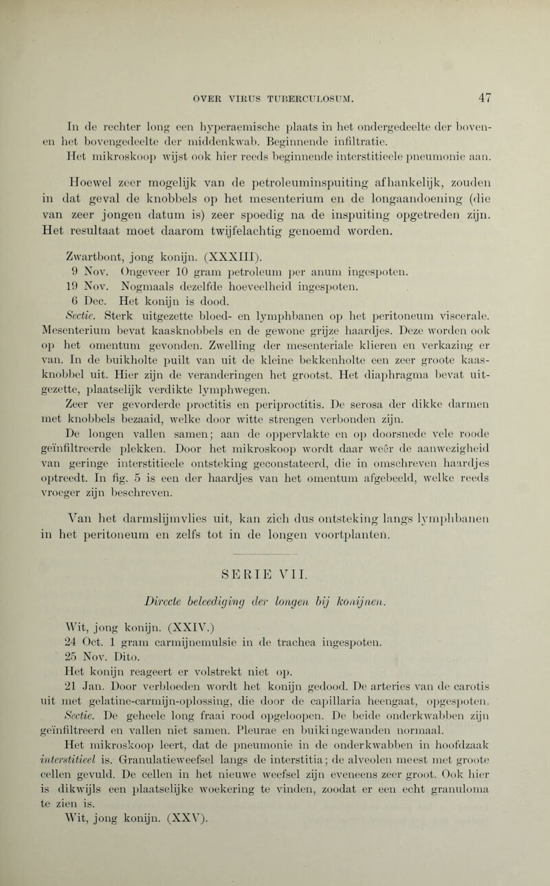 In de rechter long een hyperaemische plaats in het ondergedeelte der boven¬ en het bovengedeelte der middenkwab. Beginnende infiltratie. Het mikroskoop wijst ook hier reeds beginnende interstitieele pneumonie aan. Hoewel zeer mogelijk van de petroleuminspuiting afhankelijk, zouden in dat geval de knobbels op het mesenterium en de longaandoening (die van zeer jongen datum is) zeer spoedig na de inspuiting opgetreden zijn. Het resultaat moet daarom twijfelachtig genoemd worden. Zwartbont, jong konijn. (XXXIII). 9 Nov. Ongeveer 10 gram petroleum per anum ingespoten. 19 Nov. Nogmaals dezelfde hoeveelheid ingespoten. 6 Dec. Het konijn is dood. Sectie. Sterk uitgezette bloed- en lymphbanen op het peritoneum viscerale. Mesenterium bevat kaasknobbels en de gewone grijze haardjes. Deze worden ook op het omentum gevonden. Zwelling der mesenteriale klieren en verkazing er van. In de buikholte puilt van uit de kleine bekkenholte een zeer groote kaas- knobbel uit. Hier zijn de veranderingen het grootst. Het diaphragma bevat uit¬ gezette, plaatselijk verdikte lymphwegen. Zeer ver gevorderde proctitis en periproctitis. De serosa der dikke darmen met knobbels bezaaid, welke door witte strengen verbonden zijn. De longen vallen samen; aan de oppervlakte en op doorsnede vele roode geïnfiltreerde plekken. Door het mikroskoop wordt daar weer de aanwezigheid van geringe interstitieele ontsteking geconstateerd, die in omschreven haardjes optreedt. In fig. 5 is een der haardjes van het omentum afgebeeld, welke reeds vroeger zijn beschreven. Van het darmslijmvlies uit, kan zich dus ontsteking langs lymphbanen in het peritoneum en zelfs tot in de longen voortplanten. SERIE VIL Directe beleed,iging der longen bij konijnen. Wit, jong konijn. (XXIV.) 24 Oct. 1 gram carmijnemulsie in de trachea ingespoten. 25 Nov. Dito. Het konijn reageert er volstrekt niet op. 21 Jan. Door verbloeden wordt het konijn gedood. De arteries van de carotis uit met gelatine-carmijn-oplossing, die door de capillaria heengaat, opgespoten. Sectie. De geheele long fraai rood opgeloopcn. De beide onderkwabben zijn geïnfiltreerd en vallen niet samen. Pleurae en buikingewanden normaal. Het mikroskoop leert, dat de pneumonie in de onderkwabben in hoofdzaak interstitieel is. Granulatieweefsel langs de interstitia; de alveolen meest met groote cellen gevuld. De cellen in het nieuwe weefsel zijn eveneens zeer groot. Ook hier is dikwijls een plaatselijke woekering te vinden, zoodat er een echt granuloma te zien is. Wit, jong konijn. (XXV).