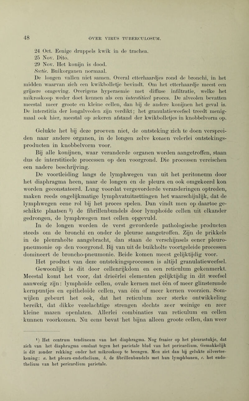 24 Oct. Eenige druppels kwik in de trachea. 25 Nov. Dito. 29 Nov. Het konijn is dood. Sectie. Buikorganen normaal. De longen vallen niet samen. Overal etterhaardjes rond de bronchi, in het midden waarvan zich een kwikbolletje bevindt. Om het etterhaardje meest een grijzere omgeving. Overigens hyperaemie met diffuse infiltratie, welke het mikroskoop weder doet kennen als een interstitieel proces. De alveolen bevatten meestal meer groote en kleine cellen, dan bij de andere konijnen het geval is. De interstitia der longalveolen zijn verdikt; het granulatieweefsel treedt menig¬ maal ook hier, meestal op zekeren afstand der kwikbolletjes in knobbelvorm op. Gelukte het bij deze proeven niet, de ontsteking zich te doen versprei¬ den naar andere organen, in de longen zelve komen velerlei ontstekings- producten in knobbelvorm voor. Bij alle konijnen, waar veranderde organen worden aangetroffen, staan dus de interstitieele processen op den voorgrond. Die processen vereischen een nadere beschrijving. De voortleiding langs de lymphwegen van uit het peritoneum door bet diaphragma been, naar de longen én de pleura en ook omgekeerd kon worden geconstateerd. Lang voordat vergevorderde veranderingen optreden, maken reeds ongelijkmatige lymphvatuitzettingen het waarschijnlijk, dat de lymphwegen eene rol bij het proces spelen. Dan vindt men op daartoe ge¬ schikte plaatsen *) de fibrillenbundels door lymphoïde cellen uit elkander gedrongen, de lymphwegen met cellen opgevuld. In de longen worden de verst gevorderde pathologische producten steeds om de bronchi en onder de pleurae aangetroffen. Zijn de prikkels in de pleuraholte aangebracht, dan staan de verschijnsels eener pleuro¬ pneumonie op den voorgrond. Bij van uit de buikholte voortgeleide processen domineert de broncho-pneumonie. Beide komen meest gelijktijdig voor. Het product van deze ontstekingsprocessen is altijd granulatieweefsel. Gewoonlijk is dit door cellenrijkdom en een reticulum gekenmerkt. Meestal komt het voor, dat drieërlei elementen gelijktijdig in dit weefsel aanwezig zijn: lymphoïde cellen, ovale kernen met één of meer glinsterende kernpuntjes en epitheloïde cellen, van één of meer kernen voorzien. Som¬ wijlen gebeurt het ook, dat het reticulum zeer sterke ontwikkeling bereikt, dat dikke vezelachtige strengen slechts zeer weinige en zeer kleine mazen openlaten. Allerlei combinaties van reticulum en cellen kunnen voorkomen. Nu eens bevat het bijna alleen groote cellen, dan weer *) Het centrum tendineum van het diaphragma. Nog fraaier op het pleurastukje, dat zich van het diaphragma omslaat tegen het parietale blad van het pericardium, (temakkelijk is dit zonder rekking onder het mikroskoop te brengen. Men ziet dan bij gelukte zilvertee- kening: a. het pleura-endothelium, b. de fibrillenbundels met hun lymphbanen, c. het endo¬ thelium van het pericardium parietale.
