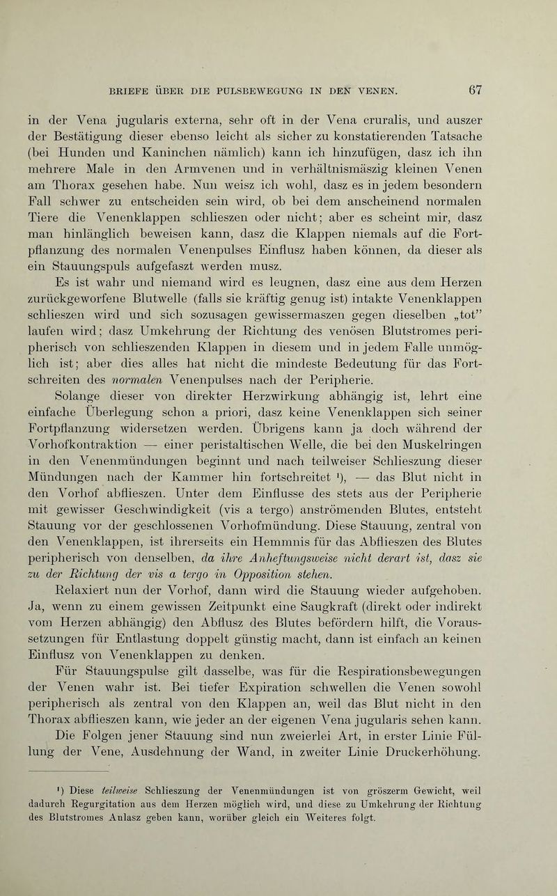 in der Vena jugularis externa, sehr oft in der Vena cruralis, und auszer der Bestätigung dieser ebenso leicht als sicher zu konstatierenden Tatsache (bei Hunden und Kaninchen nämlich) kann ich hinzufügen, dasz ich ihn mehrere Male in den Armvenen und in verhältnismäszig kleinen Venen am Thorax gesehen habe. Nun weisz ich wohl, dasz es in jedem besondern Fall schwer zu entscheiden sein wird, ob bei dem anscheinend normalen Tiere die Venenklappen schlieszen oder nicht; aber es scheint mir, dasz man hinlänglich beweisen kann, dasz die Klappen niemals auf die Fort¬ pflanzung des normalen Venenpulses Einflusz haben können, da dieser als ein Stauungspuls aufgefaszt werden musz. Es ist wahr und niemand wird es leugnen, dasz eine aus dem Herzen zurückgeworfene Blutwelle (falls sie kräftig genug ist) intakte Venenklappen schlieszen wird und sich sozusagen gewissermaszen gegen dieselben „tot” laufen wird ; dasz Umkehrung der Richtung des venösen Blutstromes peri¬ pherisch von schlieszenden Klappen in diesem und in jedem Falle unmög¬ lich ist; aber dies alles hat nicht die mindeste Bedeutung für das Fort¬ schreiten des normalen Venenpulses nach der Peripherie. Solange dieser von direkter Herzwirkung abhängig ist, lehrt eine einfache Überlegung schon a priori, dasz keine Venenklappen sich seiner Fortpflanzung widersetzen werden. Übrigens kann ja doch während der Vorhofkontraktion — einer peristaltischen Welle, die bei den Muskelringen in den Venenmündungen beginnt und nach teilweiser Schlieszung dieser Mündungen nach der Kammer hin fortschreitet ’), — das Blut nicht in den Vorhof abflieszen. Unter dem Einflüsse des stets aus der Peripherie mit gewisser Geschwindigkeit (vis a tergo) anströmenden Blutes, entsteht Stauung vor der geschlossenen Vorhofmündung. Diese Stauung, zentral von den Venenklappen, ist ihrerseits ein Hemmnis für das Abflieszen des Blutes peripherisch von denselben, da ihre Anheftungsweise nicht derart ist, dasz sie zu der Richtung der vis a tergo in Opposition stehen. Relaxiert nun der Vorhof, dann wird die Stauung wieder aufgehoben. Ja, wenn zu einem gewissen Zeitpunkt eine Saugkraft (direkt oder indirekt vom Herzen abhängig) den Abflusz des Blutes befördern hilft, die Voraus¬ setzungen für Entlastung doppelt günstig macht, dann ist einfach an keinen Einflusz von Venenklappen zu denken. Für Stauungspulse gilt dasselbe, was für die Respirationsbewegungen der Venen wahr ist. Bei tiefer Expiration schwellen die Venen sowohl peripherisch als zentral von den Klappen an, weil das Blut nicht in den Thorax abflieszen kann, wie jeder an der eigenen Vena jugularis sehen kann. Die Folgen jener Stauung sind nun zweierlei Art, in erster Linie Fül¬ lung der Vene, Ausdehnung der Wand, in zweiter Linie Druckerhöhung. ') Diese teilweise Schlieszung der Venenmündungen ist von gröszerm Gewicht, weil dadurch Regurgitation aus dem Herzen möglich wird, und diese zu Umkehrung der Richtung des Blutstromes Anlasz geben kann, worüber gleich ein Weiteres folgt.