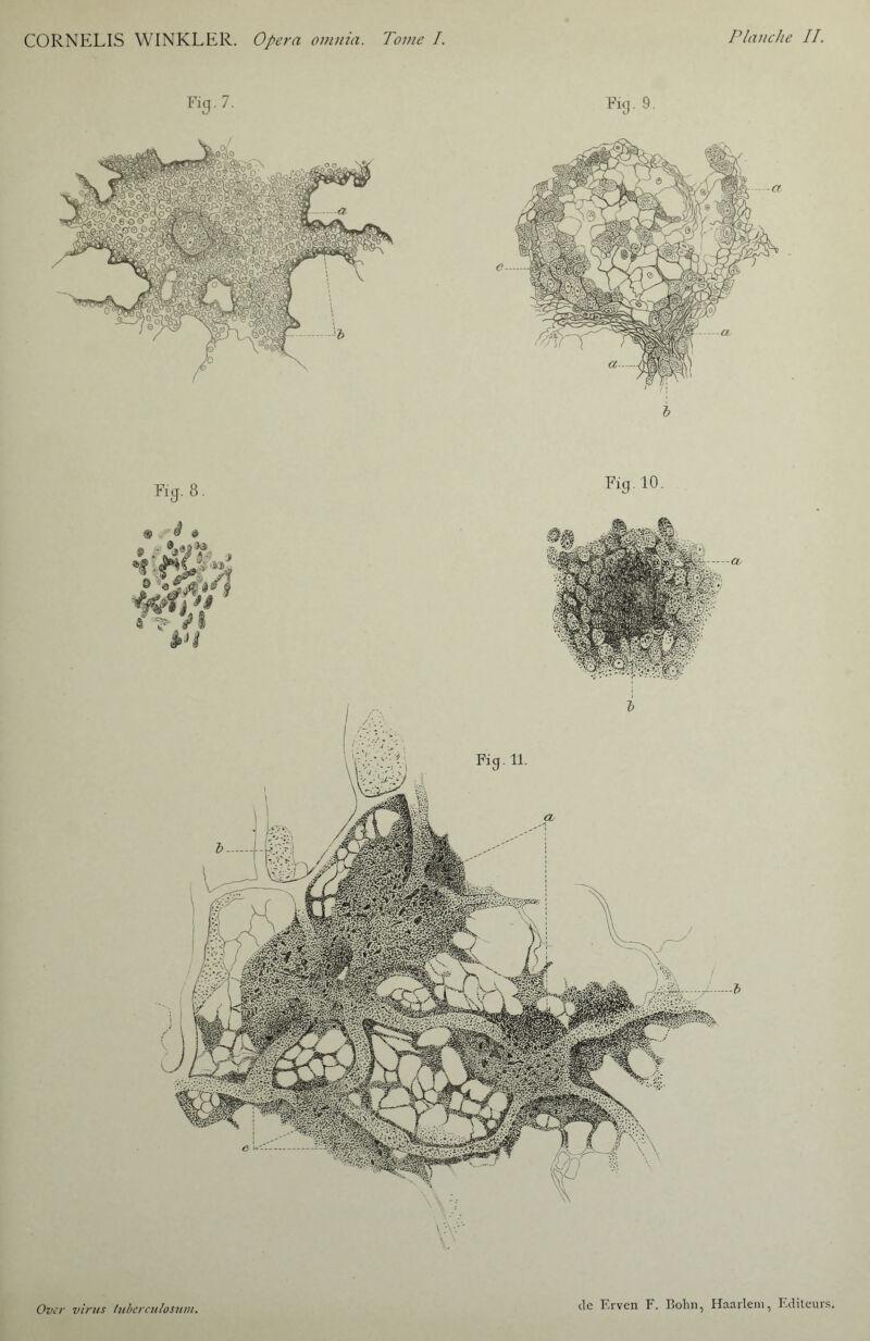 .a Kg. 8. Fig. 10.