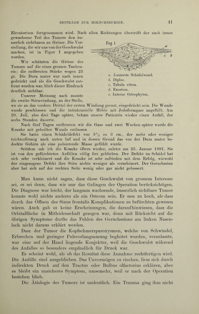 Elevatorium fortgenommen wird. Nach allen Richtungen übertrilft der nach innen gewachsene Teil des Tumors den äu- szerlich sichtbaren an Grosze. Die Vor¬ stellung, die wir uns von der Geschwulst machen, ist in Figur I angegeben worden. Wir schätzten die Grösze des Tumors auf die eines groszen Tauben¬ eis ; die entfernten Stücke wogen 25 gr. Die Dura mater war nach innen gedrückt und als die Geschwulst ent¬ fernt worden war, blieb dieser Eindruck deutlich sichtbar. Unserer Meinung nach muszte die zweite Stirnwindung, an der Stelle, wo sie an das vordere Drittel der ersten Windung grenzt, eingedrückt sein. Die Wunde wurde geschlossen und die intrakranielle Höhle mit Jodoformgaze angefüllt. Am 20. Juli, also drei Tage später, bekam unsere Patientin wieder einen Anfall, der sechs Stunden dauerte. Nach fünf Tagen entfernten wir die Gase und zwei Wochen später wurde die Kranke mit geheilter Wunde entlassen Sie hatte einen Schädeldefekt von 3 '/a zu 3 cm., der mehr oder weniger trichterförmig nach unten lief und in dessen Grund das von der Dura mater be¬ deckte Gehirn als eine pulsierende Masse gefühlt wurde. Seitdem sah ich die Kranke öfters wieder, zuletzt am 25. Januar 1891. Sie ist von den gefürchteten Anfällen völlig frei geblieben. Der Defekt im Schädel hat sich sehr verkleinert und die Kranke ist sehr zufrieden mit dem Erfolg, wiewohl der eingezogene Defekt ihre Stirn nichts weniger als verschönert. Der Geruchssinn aber hat sich auf der rechten Seite wenig oder gar nicht gebessert. Man kann nicht sagen, dasz diese Geschwulst von groszem Interesse sei, es sei denn, dasz wir nur das Gelingen der Operation berücksichtigen. Die Diagnose war leicht, der langsam wachsende, äuszerlich sichtbare Tumor konnte wohl nichts anderes als ein Osteom sein. Er sasz zu hoch, als dasz durch das Offnen des Sinus frontalis Komplikationen zu befürchten gewesen wären. Auch gab es keine Erscheinungen, die daraufhinwiesen, dasz die Orbitalfläche in Mitleidenschaft gezogen war, denn mit Rücksicht auf die übrigen Symptome durfte das Fehlen des Geruchssinns am linken Nasen¬ loch nicht daraus erklärt werden. Dasz der Tumor die Kopfschinerzparoxysmen, welche von Schwindel, Erbrechen und geringer Pulsverlangsamung begleitet wurden, veranlaszte, war eine auf der Hand liegende Konjektur, weil die Geschwulst während des Anfalles so besonders empfindlich für Druck war. Es scheint wohl, als ob das Resultat diese Annahme rechtfertigen wird. Die Anfälle sind ausgeblieben. Das Unvermögen zu riechen, liesz sich durch indirekten Druck auf den Tractus oder Bulbus olfactorius erklären, aber es bleibt ein unsicheres S3Tmptom, umsomehr, weil er nach der Operation bestehen blieb. Die Ätiologie des Tumors ist undeutlich. Ein Trauma ging ihm nicht a. Äuszerste Schädelwand. b. Diploe. c. Tabula vitrea. d. Enostose. e. Interne Osteophyten.