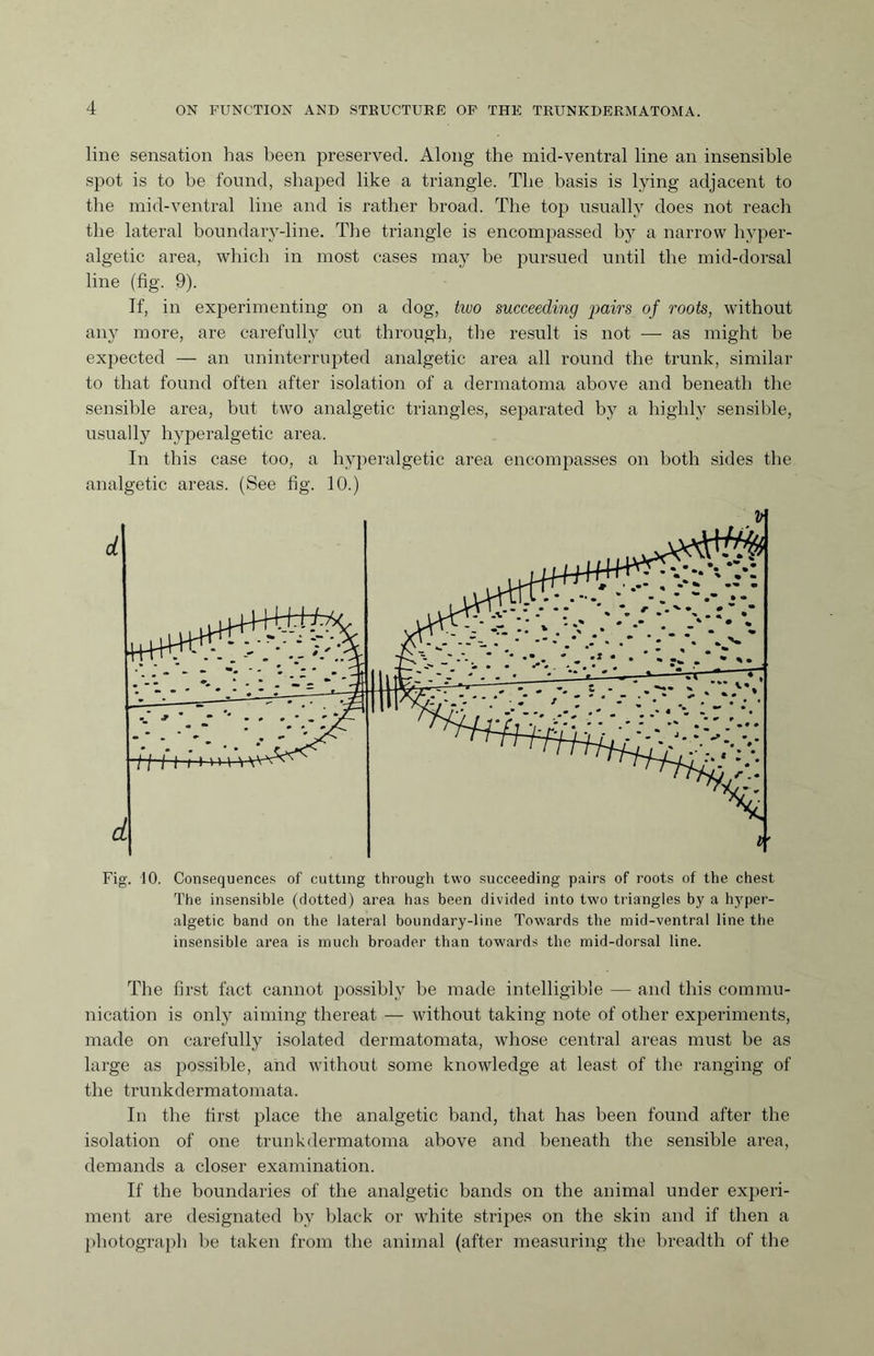 line sensation has been preserved. Along the mid-ventral line an insensible spot is to be found, shaped like a triangle. The basis is lying adjacent to the mid-ventral line and is rather broad. The top usually does not reach the lateral boundary-line. The triangle is encompassed by a narrow hyper- algetic area, which in most cases may be pursued until the mid-dorsal line (fig. 9). If, in experimenting on a dog, tivo succeeding pairs of roots, without any more, are carefully cut through, the result is not — as might be expected — an uninterrupted analgetic area all round the trunk, similar to that found often after isolation of a dermatoma above and beneath the sensible area, but two analgetic triangles, separated by a highly sensible, usually hyperalgetic area. In this case too, a hyperalgetic area encompasses on both sides the analgetic areas. (See fig. 10.) Fig. 10. Consequences of cutting through two succeeding pairs of roots of the chest The insensible (dotted) area has been divided into two triangles by a hyper¬ algetic band on the lateral boundary-line Towards the mid-ventral line the insensible area is much broader than towards the mid-dorsal line. The first fact cannot possibly be made intelligible — and this commu¬ nication is only aiming thereat — without taking note of other experiments, made on carefully isolated dermatomata, whose central areas must be as large as possible, and without some knowledge at least of the ranging of the trunkdermatomata. In the first place the analgetic band, that has been found after the isolation of one trunk dermatoma above and beneath the sensible area, demands a closer examination. If the boundaries of the analgetic bands on the animal under experi¬ ment are designated by black or white stripes on the skin and if then a photograph be taken from the animal (after measuring the breadth of the