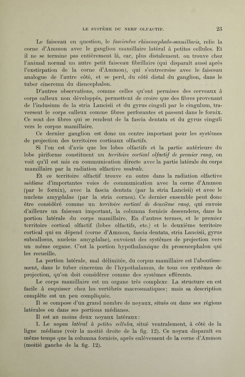 Le faisceau en question, le fasciculus rhinencephalo-mamillaris, relie la corne d’Ammon avec le ganglion mamillaire latéral à petites cellules. Et il ne se termine pas entièrement là, car, plus distalement, on trouve chez l’animal normal un autre petit faisceau fibrillaire (qui disparaît aussi après l’exstirpation de la corne d’Ammon), qui s’entrecroise avec le faisceau analogue de l’autre côté, et se perd, du côté distal du ganglion, dans le tuber cinereum du diencephalon. D’autres observations, comme celles qu’ont permises des cerveaux à corps calleux non développés, permettent de croire que des fibres provenant de l’indusium de la stria Lancisii et du gyrus cinguli par le cingulum, tra¬ versent le corps calleux comme fibres perforantes et passent dans le fornix. Ce sont des fibres qui se rendent de la fascia dentata et du gyrus cinguli vers le corpus mamillaire. Ce dernier ganglion est donc un centre important pour les systèmes de projection des territoires corticaux olfactifs. Si l’on est d’avis que les lobes olfactifs et la partie antérieure du lobe piriforme constituent un territoire cortical olfactif de premier rang, on voit qu’il est mis en communication directe avec la partie latérale du corps mamillaire par la radiation olfactive ventrale. Et ce territoire olfactif trouve en outre dans la radiation olfactive médiane d’importantes voies de communication avec la corne d’Ammon (par le fornix), avec la fascia dentata (par la stria Lancisii) et avec le nucleus amygdalae (par la stria cornea). Ce dernier ensemble peut donc être considéré comme un territoire cortica.l de deuxième rang, qui envoie d’ailleurs un faisceau important, la columna fornicis descendens, dans la portion latérale du corps mamillaire. En d’autres termes, et le premier territoire cortical olfactif (lobes olfactifs, etc.) et le deuxième territoire cortical qui en dépend (corne d’Ammon, fascia dentata, stria Lancisii, gyrus subcallosus, nucleus amygdalae), envoient des systèmes de projection vers un même organe. C’est la portion hypothalamique du prosencephalon qui les recueille. La portion latérale, mal délimitée, du corpus mamillaire est l’aboutisse¬ ment, dans le tuber cinereum de l’hypothalamus, de tous ces systèmes de projection, qu’on doit considérer comme des systèmes efférents. Le corps mamillaire est un organe très complexe. La structure en est facile à esquisser chez les vertébrés macrosmatiques ; mais sa description complète est un peu compliquée. Il se compose d’un grand nombre de noyaux, situés ou dans ses régions latérales ou dans ses portions médianes. Il est au moins deux noyaux latéraux: 1. Le noyau latéral à petites cellules, situé ventralement, à côté de la ligne médiane (voir la moitié droite de la fig. 12). Ce noyau disparaît en même temps que la columna fornicis, après enlèvement de la corne d’Ammon (moitié gauche de la fig. 12).