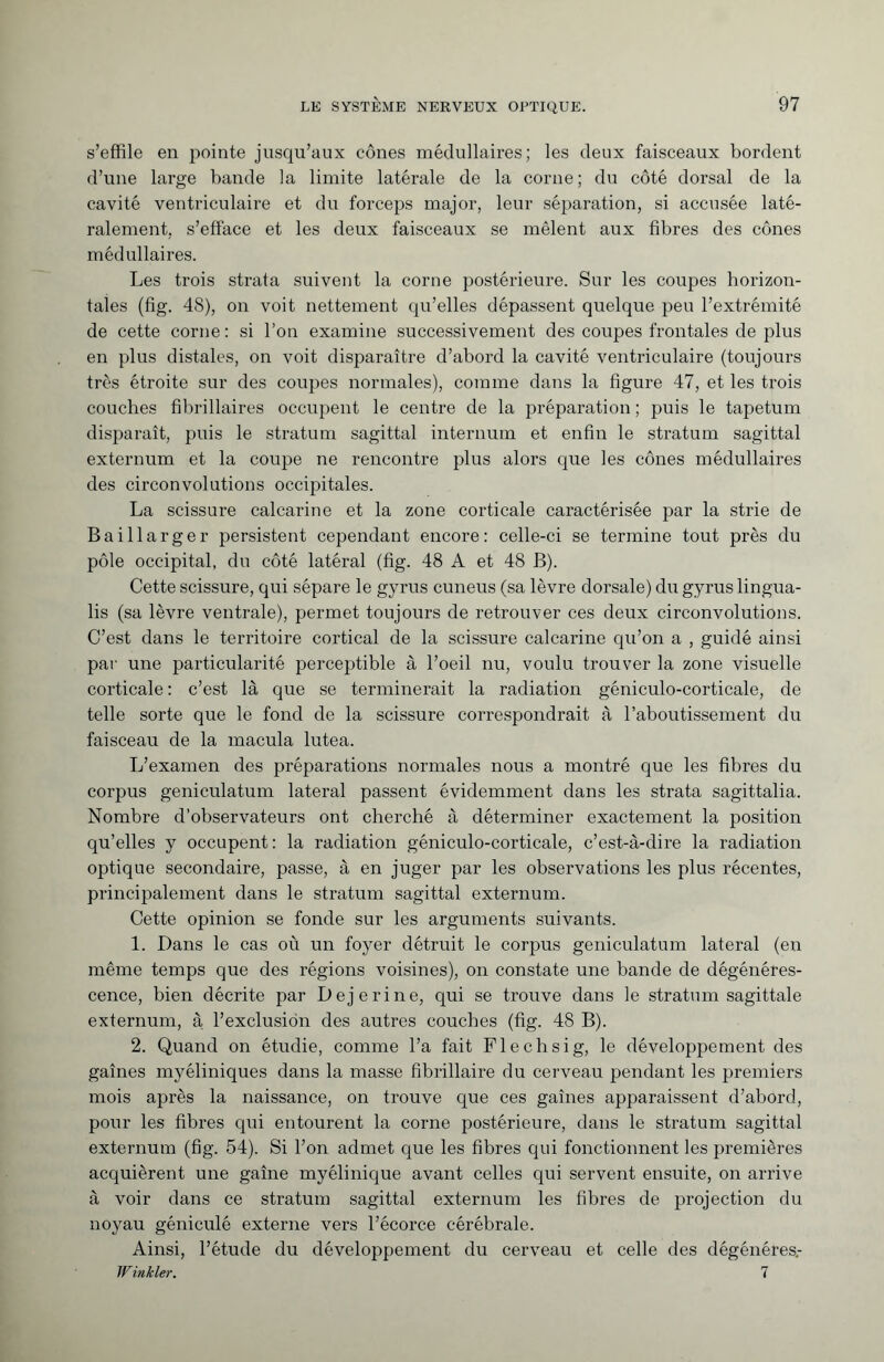 s’effile en pointe jusqu’aux cônes médullaires; les deux faisceaux bordent d’une large bande la limite latérale de la corne; du côté dorsal de la cavité ventriculaire et du forceps major, leur séparation, si accusée laté¬ ralement, s’efface et les deux faisceaux se mêlent aux fibres des cônes médullaires. Les trois strata suivent la corne postérieure. Sur les coupes horizon¬ tales (fig. 48), on voit nettement qu’elles dépassent quelque peu l’extrémité de cette corne : si l’on examine successivement des coupes frontales de plus en plus distales, on voit disparaître d’abord la cavité ventriculaire (toujours très étroite sur des coupes normales), comme dans la figure 47, et les trois couches fibrillaires occupent le centre de la préparation ; puis le tapétum disparaît, puis le stratum sagittal internum et enfin le stratum sagittal externum et la coupe ne rencontre plus alors que les cônes médullaires des circonvolutions occipitales. La scissure calcarine et la zone corticale caractérisée par la strie de Baillarger persistent cependant encore: celle-ci se termine tout près du pôle occipital, du côté latéral (fig. 48 A et 48 B). Cette scissure, qui sépare le gyrus cuneus (sa lèvre dorsale) du gyrus lingua- lis (sa lèvre ventrale), permet toujours de retrouver ces deux circonvolutions. C’est dans le territoire cortical de la scissure calcarine qu’on a , guidé ainsi par une particularité perceptible à l’oeil nu, voulu trouver la zone visuelle corticale : c’est là que se terminerait la radiation géniculo-corticale, de telle sorte que le fond de la scissure correspondrait à l’aboutissement du faisceau de la macula lutea. L’examen des préparations normales nous a montré que les fibres du corpus geniculatum lateral passent évidemment dans les strata sagittalia. Nombre d’observateurs ont cherché à déterminer exactement la position qu’elles y occupent: la radiation géniculo-corticale, c’est-à-dire la radiation optique secondaire, passe, à en juger par les observations les plus récentes, principalement dans le stratum sagittal externum. Cette opinion se fonde sur les arguments suivants. 1. Dans le cas où un foyer détruit le corpus geniculatum lateral (en même temps que des régions voisines), on constate une bande de dégénéres¬ cence, bien décrite par Dejerine, qui se trouve dans le stratum sagittale externum, à. l’exclusion des autres couches (fig. 48 B). 2. Quand on étudie, comme l’a fait Flechsig, le développement des gaines myéliniques dans la masse fibrillaire du cerveau pendant les premiers mois après la naissance, on trouve que ces gaînes apparaissent d’abord, pour les fibres qui entourent la corne postérieure, dans le stratum sagittal externum (fig. 54). Si l’on admet que les fibres qui fonctionnent les premières acquièrent une gaîne myélinique avant celles qui servent ensuite, on arrive à voir dans ce stratum sagittal externum les fibres de projection du noyau géniculé externe vers l’écorce cérébrale. Ainsi, l’étude du développement du cerveau et celle des dégénéres.- JF inkier. 7