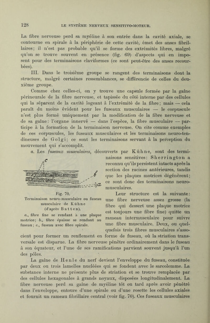 La fibre nerveuse perd sa myéline à son entrée dans la cavité axiale, se contourne en spirale à la périphérie de cette cavité, émet des anses fibril- laires; il n’est pas probable qu’il se forme des extrémités libres, malgré qu’on se trouve souvent en présence (fig. 69) d’aspects qui en impo¬ sent pour des terminaisons claviformes (ce sont peut-être des anses recour¬ bées). III. Dans le troisième groupe se rangent des terminaisons dont la structure, malgré certaines ressemblances, se différencie de celles du deu¬ xième groupe. Comme chez celles-ci, on y trouve une capsule formée par la gaine périneurale de la fibre nerveuse, et tapissée du côté interne par des cellules qui la séparent de la cavité logeant à l’extrémité de la fibre ; mais — cela paraît du moins évident pour les fuseaux musculaires — le corpuscule n’est plus formé uniquement par la modification de la fibre nerveuse et de sa gaine : l’organe innervé — dans l’espèce, la fibre musculaire — par¬ ticipe à la formation de la terminaison nerveuse. On cite comme exemples de ces corpuscules, les fuseaux musculaires et les terminaisons neuro-ten¬ dineuses de Golgi; ce sont les terminaisons servant à la perception du mouvement qui s’accomplit. a. Les fuseaux musculaires, découverts par Kühne, sont des termi¬ naisons sensitives: Sherrington a reconnu qu’ils persistent intacts après la section des racines antérieures, tandis que les plaques motrices dégénèrent; ce sont donc des terminaisons neuro¬ musculaires. Leur structure est la suivante: une fibre nerveuse assez grosse (la fibre qui dessert une plaque motrice est toujours une fibre fine) quitte un rameau intermusculaire pour suivre une fibre musculaire. Deux, ou quel¬ quefois trois fibres musculaires s’asso¬ cient pour former un renflement en forme de fuseau, où la striation trans¬ versale est disparue. La fibre nerveuse pénètre ordinairement dans le fuseau à son équateur, et l’une de ses ramifications parvient souvent jusqu’à l’un des pôles. La gaine de H e n 1 e du nerf devient l’enveloppe du fuseau, constituée par deux ou trois lamelles nucléées qui se fondent avec le sarcolemme. La substance interne ne présente plus de striation et se trouve remplacée par des cellules hexagonales à grands noyaux, disposées longitudinalement. La fibre nerveuse perd sa gaine de myéline tôt ou tard après avoir pénétré dans l’enveloppe, entoure d’une spirale ou d’une rosette les cellules axiales et fournit un rameau fibrillaire central (voir fig. 70). Ces fuseaux musculaires Zzr-^O' Fig. 70. Terminaison neuro-musculaire ou fuseau musculaire de Kühne (d’après Batten). a., fibre fine se rendant à une plaque motrice; b., fibre épaisse se rendant au fuseau ; c., fuseau avec fibre spirale.