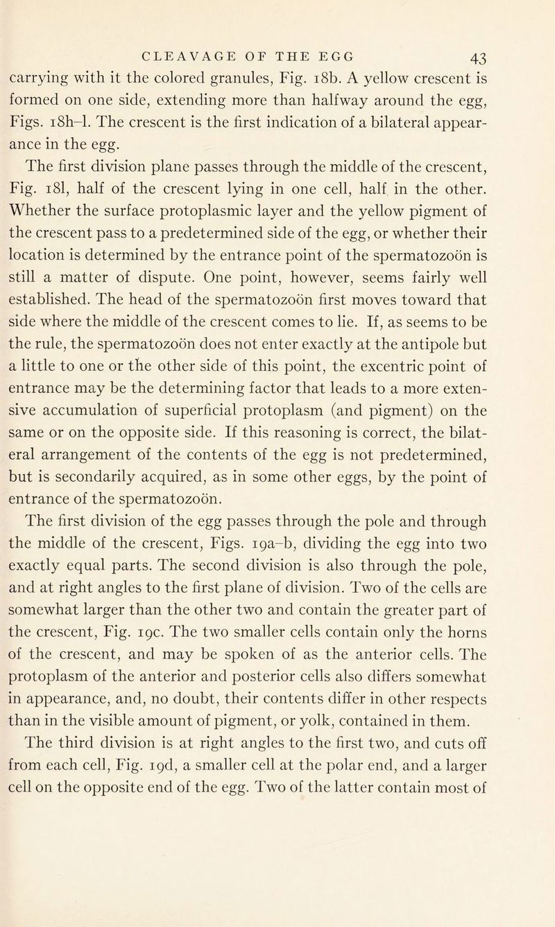 carrying with it the colored granules, Fig. 18b. A yellow crescent is formed on one side, extending more than halfway around the egg, Figs. i8h-l. The crescent is the first indication of a bilateral appear- ance in the egg. The first division plane passes through the middle of the crescent, Fig. 181, half of the crescent lying in one cell, half in the other. Whether the surface protoplasmic layer and the yellow pigment of the crescent pass to a predetermined side of the egg, or whether their location is determined by the entrance point of the spermatozoon is still a matter of dispute. One point, however, seems fairly well established. The head of the spermatozoon first moves toward that side where the middle of the crescent comes to lie. If, as seems to be the rule, the spermatozoon does not enter exactly at the antipole but a little to one or the other side of this point, the excentric point of entrance may be the determining factor that leads to a more exten- sive accumulation of superficial protoplasm (and pigment) on the same or on the opposite side. If this reasoning is correct, the bilat- eral arrangement of the contents of the egg is not predetermined, but is secondarily acquired, as in some other eggs, by the point of entrance of the spermatozoon. The first division of the egg passes through the pole and through the middle of the crescent, Figs, iga-b, dividing the egg into two exactly equal parts. The second division is also through the pole, and at right angles to the first plane of division. Two of the cells are somewhat larger than the other two and contain the greater part of the crescent, Fig. 19c. The two smaller cells contain only the horns of the crescent, and may be spoken of as the anterior cells. The protoplasm of the anterior and posterior cells also differs somewhat in appearance, and, no doubt, their contents differ in other respects than in the visible amount of pigment, or yolk, contained in them. The third division is at right angles to the first two, and cuts off from each cell, Fig. igd, a smaller cell at the polar end, and a larger cell on the opposite end of the egg. Two of the latter contain most of