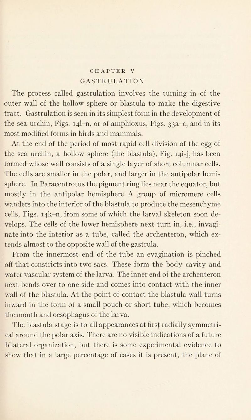 CHAPTER V GASTRULATION The process called gastrulation involves the turning in of the outer wall of the hollow sphere or blastula to make the digestive tract. Gastrulation is seen in its simplest form in the development of the sea urchin, Figs. 141-n, or of amphioxus, Figs. 33a-c, and in its most modified forms in birds and mammals. At the end of the period of most rapid cell division of the egg of the sea urchin, a hollow sphere (the blastula), Fig. i4i-j, has been formed whose wall consists of a single layer of short columnar cells. The cells are smaller in the polar, and larger in the antipolar hemi- sphere. In Paracentrotus the pigment ring lies near the equator, but mostly in the antipolar hemisphere. A group of micromere cells wanders into the interior of the blastula to produce the mesenchyme cells, Figs. i4k-n, from some of which the larval skeleton soon de- velops. The cells of the lower hemisphere next turn in, i.e., invagi- nate into the interior as a tube, called the archenteron, which ex- tends almost to the opposite wall of the gastrula. From the innermost end of the tube an evagination is pinched off that constricts into two sacs. These form the body cavity and water vascular system of the larva. The inner end of the archenteron next bends over to one side and comes into contact with the inner wall of the blastula. At the point of contact the blastula wall turns inward in the form of a small pouch or short tube, which becomes the mouth and oesophagus of the larva. The blastula stage is to all appearances at first radially symmetri- cal around the polar axis. There are no visible indications of a future bilateral organization, but there is some experimental evidence to show that in a large percentage of cases it is present, the plane of