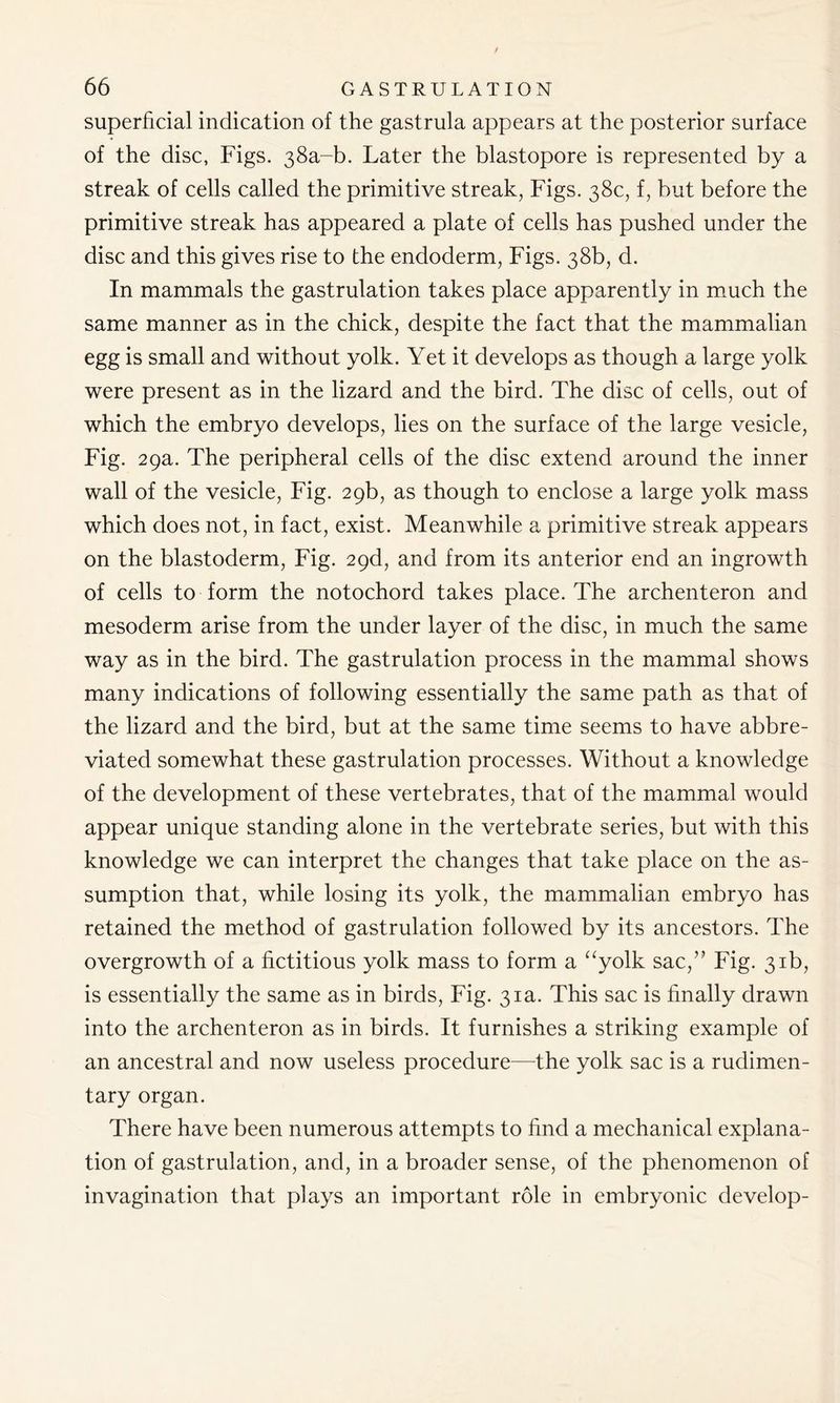 superficial indication of the gastrula appears at the posterior surface of the disc, Figs. 38a-b. Later the blastopore is represented by a streak of cells called the primitive streak, Figs. 38c, f, but before the primitive streak has appeared a plate of cells has pushed under the disc and this gives rise to the endoderm, Figs. 38b, d. In mammals the gastrulation takes place apparently in much the same manner as in the chick, despite the fact that the mammalian egg is small and without yolk. Yet it develops as though a large yolk were present as in the lizard and the bird. The disc of cells, out of which the embryo develops, lies on the surface of the large vesicle, Fig. 29a. The peripheral cells of the disc extend around the inner wall of the vesicle, Fig. 29b, as though to enclose a large yolk mass which does not, in fact, exist. Meanwhile a primitive streak appears on the blastoderm, Fig. 29d, and from its anterior end an ingrowth of cells to form the notochord takes place. The archenteron and mesoderm arise from the under layer of the disc, in much the same way as in the bird. The gastrulation process in the mammal shows many indications of following essentially the same path as that of the lizard and the bird, but at the same time seems to have abbre- viated somewhat these gastrulation processes. Without a knowledge of the development of these vertebrates, that of the mammal would appear unique standing alone in the vertebrate series, but with this knowledge we can interpret the changes that take place on the as- sumption that, while losing its yolk, the mammalian embryo has retained the method of gastrulation followed by its ancestors. The overgrowth of a fictitious yolk mass to form a “yolk sac,” Fig. 31b, is essentially the same as in birds, Fig. 31a. This sac is finally drawn into the archenteron as in birds. It furnishes a striking example of an ancestral and now useless procedure—the yolk sac is a rudimen- tary organ. There have been numerous attempts to find a mechanical explana- tion of gastrulation, and, in a broader sense, of the phenomenon of invagination that plays an important role in embryonic develop-