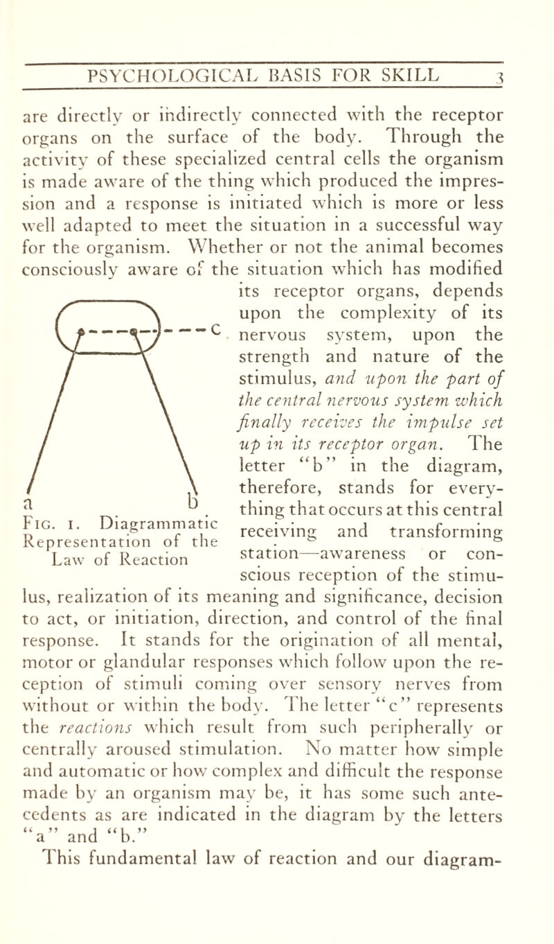 are directly or indirectly connected with the receptor organs on the surface of the body. Through the activity of these specialized central cells the organism is made aware of the thing which produced the impres¬ sion and a response is initiated which is more or less well adapted to meet the situation in a successful way for the organism. Whether or not the animal becomes consciously aware of the situation which has modified its receptor organs, depends upon the complexity of its nervous system, upon the strength and nature of the stimulus, and upon the part of the central nervous system which finally receives the impulse set up in its receptor organ. The letter “b” in the diagram, therefore, stands for every¬ thing that occurs at this central receiving and transforming station—awareness or con¬ scious reception of the stimu¬ lus, realization of its meaning and significance, decision to act, or initiation, direction, and control of the final response. It stands for the origination of all mental, motor or glandular responses which follow upon the re¬ ception of stimuli coming over sensory nerves from without or within the body. 1 he letter “c” represents the reactions which result from such peripherally or centrally aroused stimulation. No matter how simple and automatic or how complex and difficult the response made by an organism may be, it has some such ante¬ cedents as are indicated in the diagram by the letters a and b. This fundamental law of reaction and our diagram- Fig. I. Diagrammatic Representation of the Law of Reaction