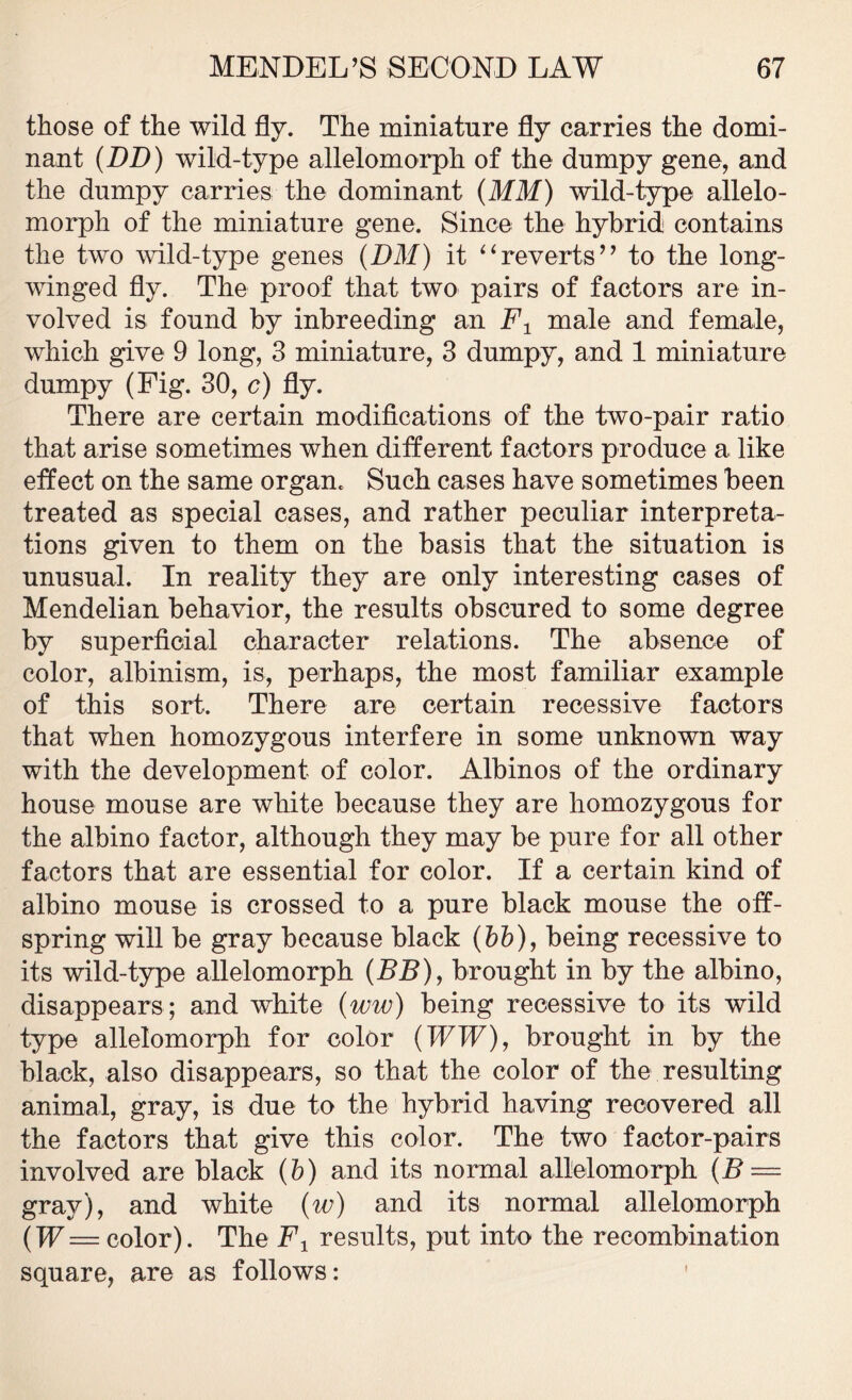 those of the wild fly. The miniature fly carries the domi- nant (DD) wild-type allelomorph of the dumpy gene, and the dumpy carries the dominant (MM) wild-type allelo- morph of the miniature gene. Since the hybrid contains the two wild-type genes (DM) it “reverts” to the long- winged fly. The proof that two pairs of factors are in- volved is found by inbreeding an F1 male and female, which give 9 long, 3 miniature, 3 dumpy, and 1 miniature dumpy (Fig. 30, c) fly. There are certain modifications of the two-pair ratio that arise sometimes when different factors produce a like effect on the same organ. Such cases have sometimes been treated as special cases, and rather peculiar interpreta- tions given to them on the basis that the situation is unusual. In reality they are only interesting cases of Mendelian behavior, the results obscured to some degree by superficial character relations. The absence of color, albinism, is, perhaps, the most familiar example of this sort. There are certain recessive factors that when homozygous interfere in some unknown way with the development of color. Albinos of the ordinary house mouse are white because they are homozygous for the albino factor, although they may be pure for all other factors that are essential for color. If a certain kind of albino mouse is crossed to a pure black mouse the off- spring will be gray because black (bb), being recessive to its wild-type allelomorph (BB), brought in by the albino, disappears ; and white (ww) being recessive to its wild type allelomorph for color (WW), brought in by the black, also disappears, so that the color of the resulting animal, gray, is due to the hybrid having recovered all the factors that give this color. The two factor-pairs involved are black (b) and its normal allelomorph (B— gray), and white (w) and its normal allelomorph (W= color). The F1 results, put into the recombination square, are as follows: