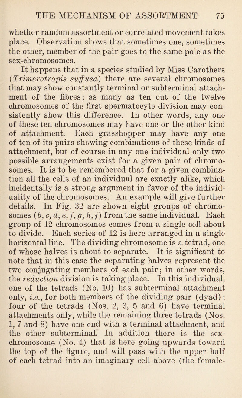 whether random assortment or correlated movement takes place. Observation shows that sometimes one, sometimes the other, member of the pair goes to the same pole as the sex-chromosomes. It happens that in a species studied by Miss Oarothers (T rimer otropis stiff us a) there are several chromosomes that may show constantly terminal or subterminal attach- ment of the fibres; as many as ten out of the twelve chromosomes of the first spermatocyte division may con- sistently show this difference. In other words, any one of these ten chromosomes may have one or the other kind of attachment. Each grasshopper may have any one of ten of its pairs showing combinations of these kinds of attachment, but of course in any one individual only two possible arrangements exist for a given pair of chromo- somes. It is to be remembered that for a given combina- tion all the cells of an individual are exactly alike, which incidentally is a strong argument in favor of the individ- uality of the chromosomes. An example will give further details. In Fig. 32 are shown eight groups of chromo- somes (b, cy d, e, fy g, h, j) from the same individual. Each group of 12 chromosomes comes from a single cell about to divide. Each series of 12 is here arranged in a single horizontal line. The dividing chromosome is a tetrad, one of whose halves is about to separate. It is significant to note that in this case the separating halves represent the two conjugating members of each pair; in other words, the reduction division is taking place. In this individual, one of the tetrads (No. 10) has subterminal attachment only, i.e.y for both members of the dividing pair (dyad); four of the tetrads (Nos. 2, 3, 5 and 6) have terminal attachments only, while the remaining three tetrads (Nos. 1, 7 and 8) have one end with a terminal attachment, and the other subterminal. In addition there is the sex- chromosome (No. 4) that is here going upwards toward the top of the figure, and will pass with the upper half of each tetrad into an imaginary cell above (the female-